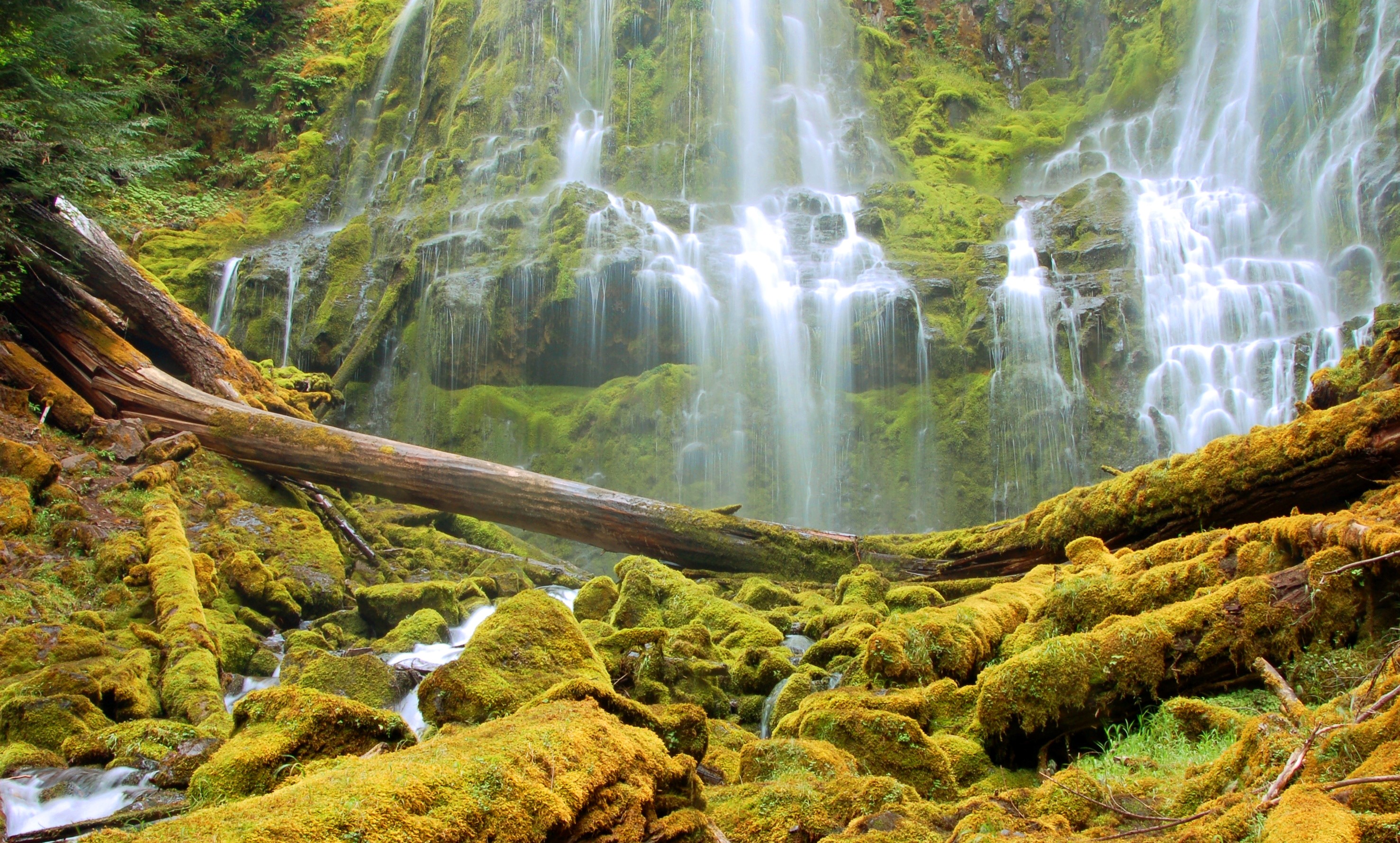 Mossy Waterfall and Fallen Trees in Alder Springs, Oregon HD Wallpaper