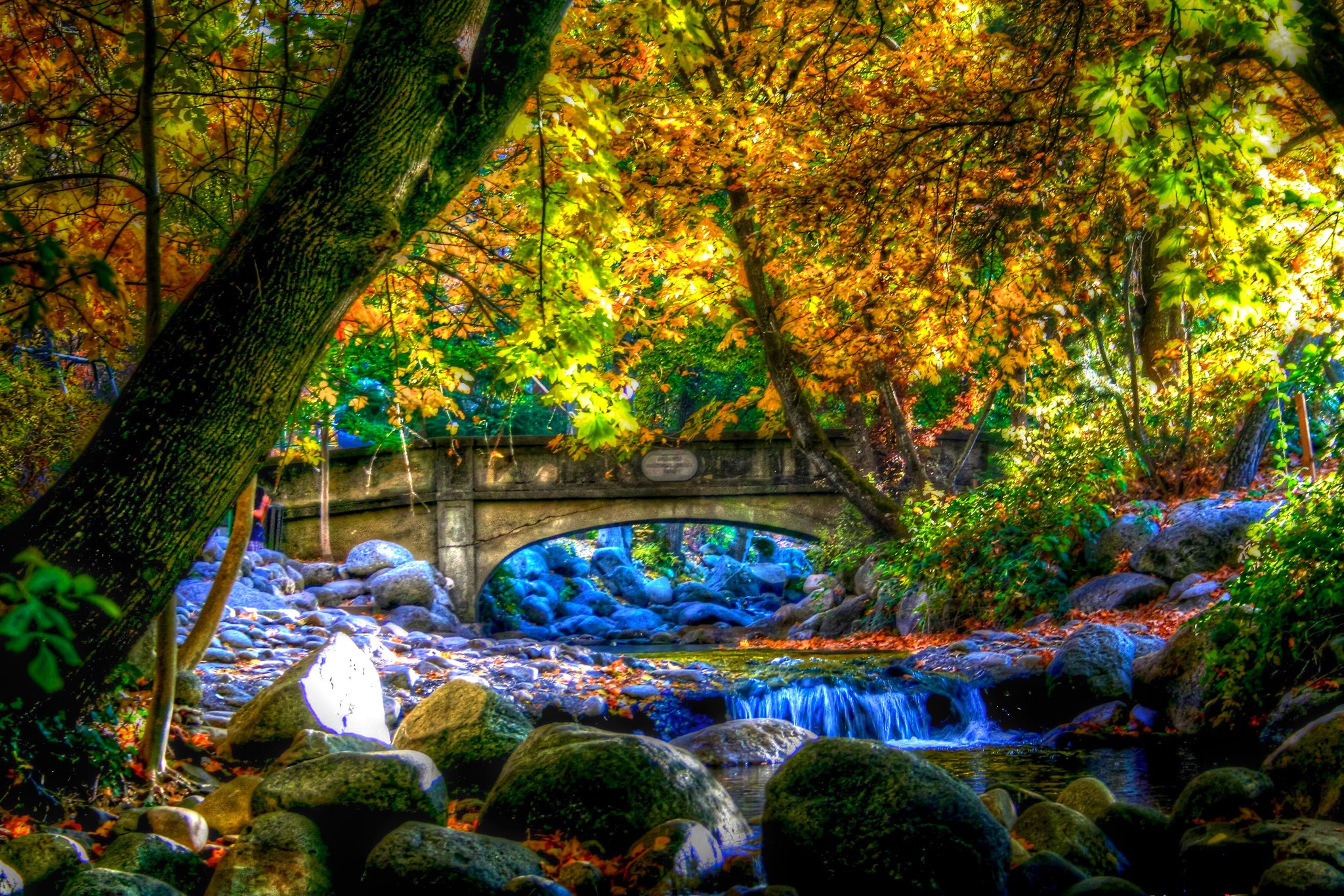 Autumn scene with a bridge over a rocky river HD Wallpaper