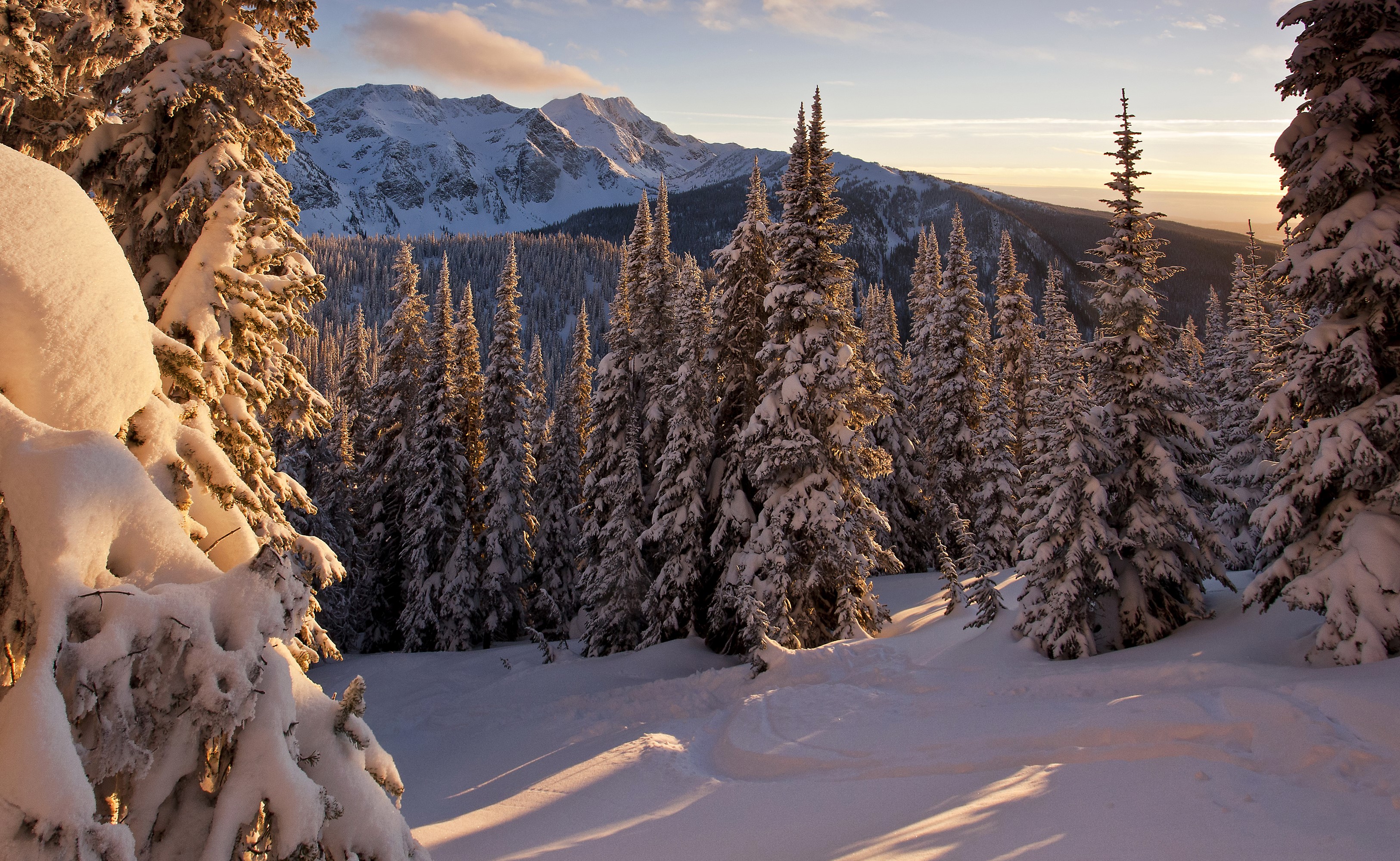 Snowy mountain forest at sunset HD Wallpaper