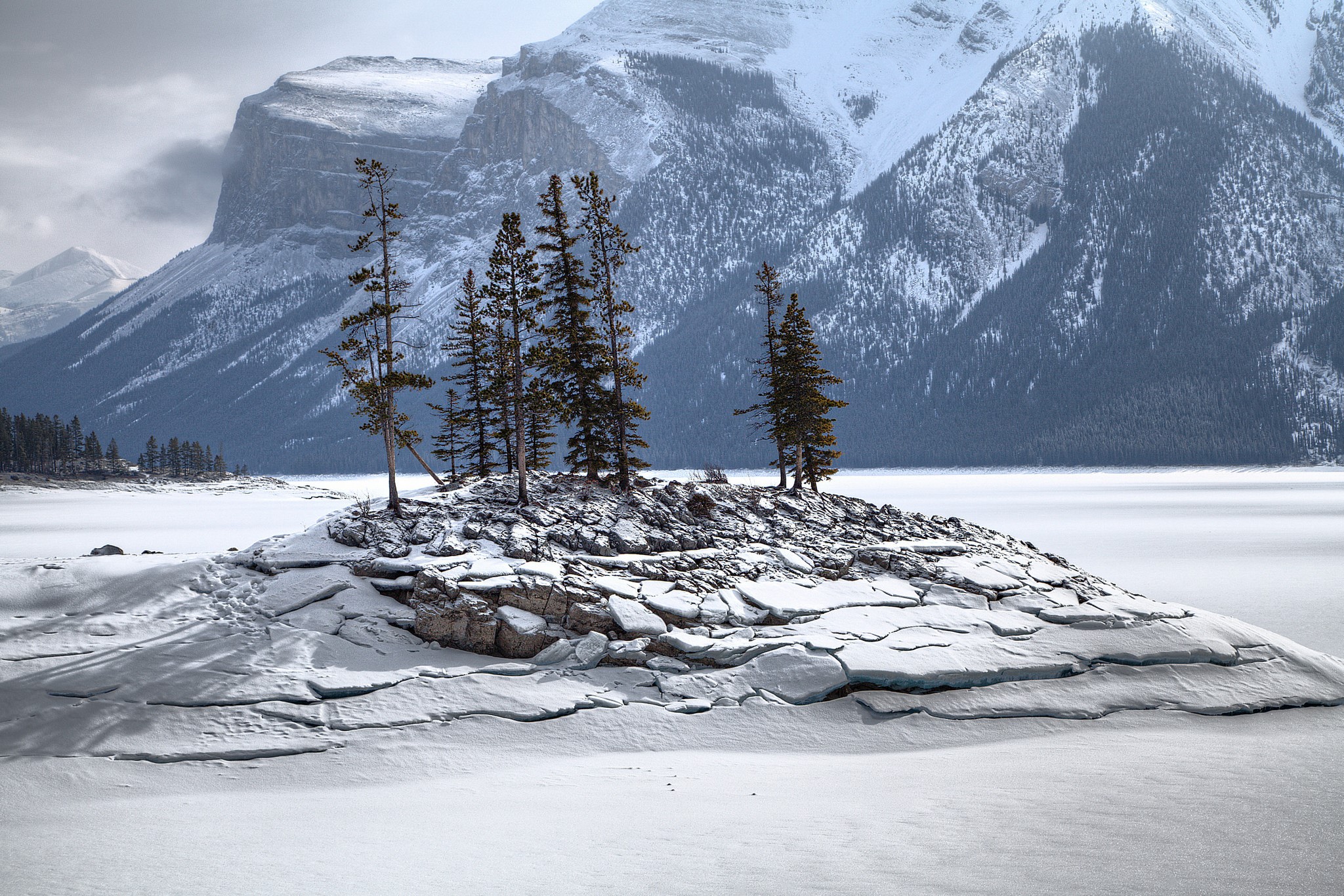 Snowy island with pine trees and mountains HD Wallpaper