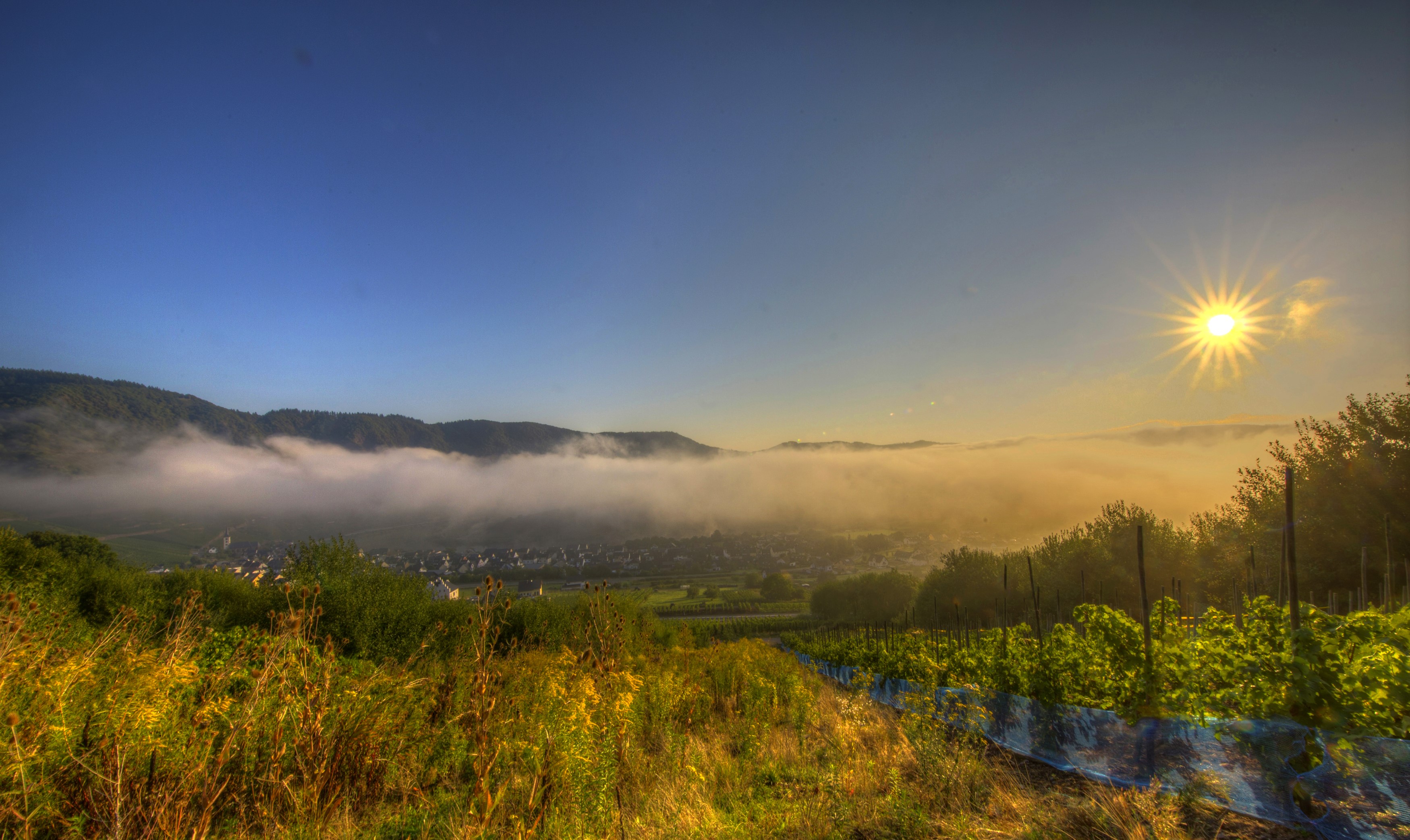 Bremm, Germany: Foggy valley at sunrise with sun rays HD Wallpaper
