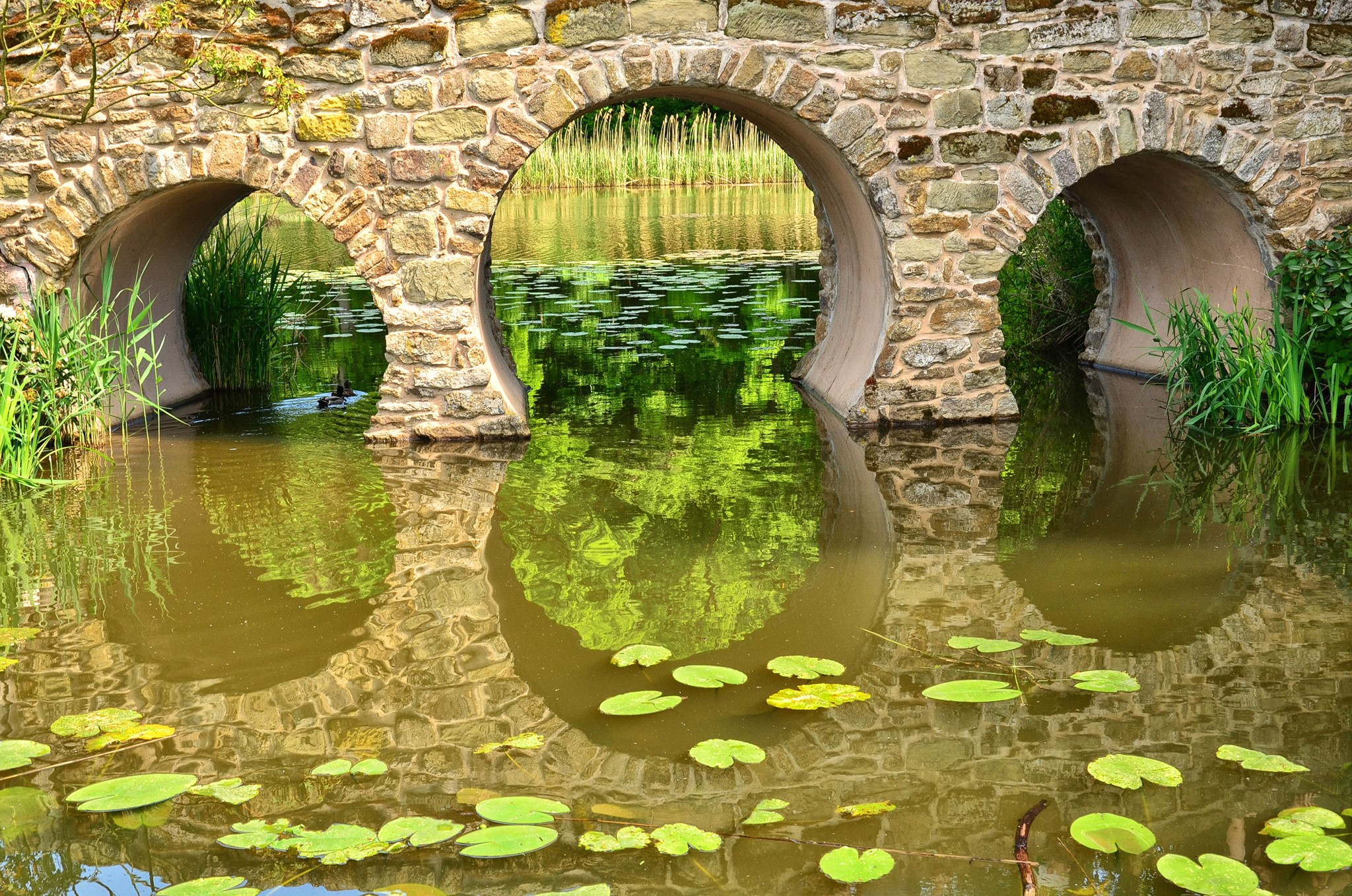 Stone bridge with arches over a pond with lily pads HD Wallpaper