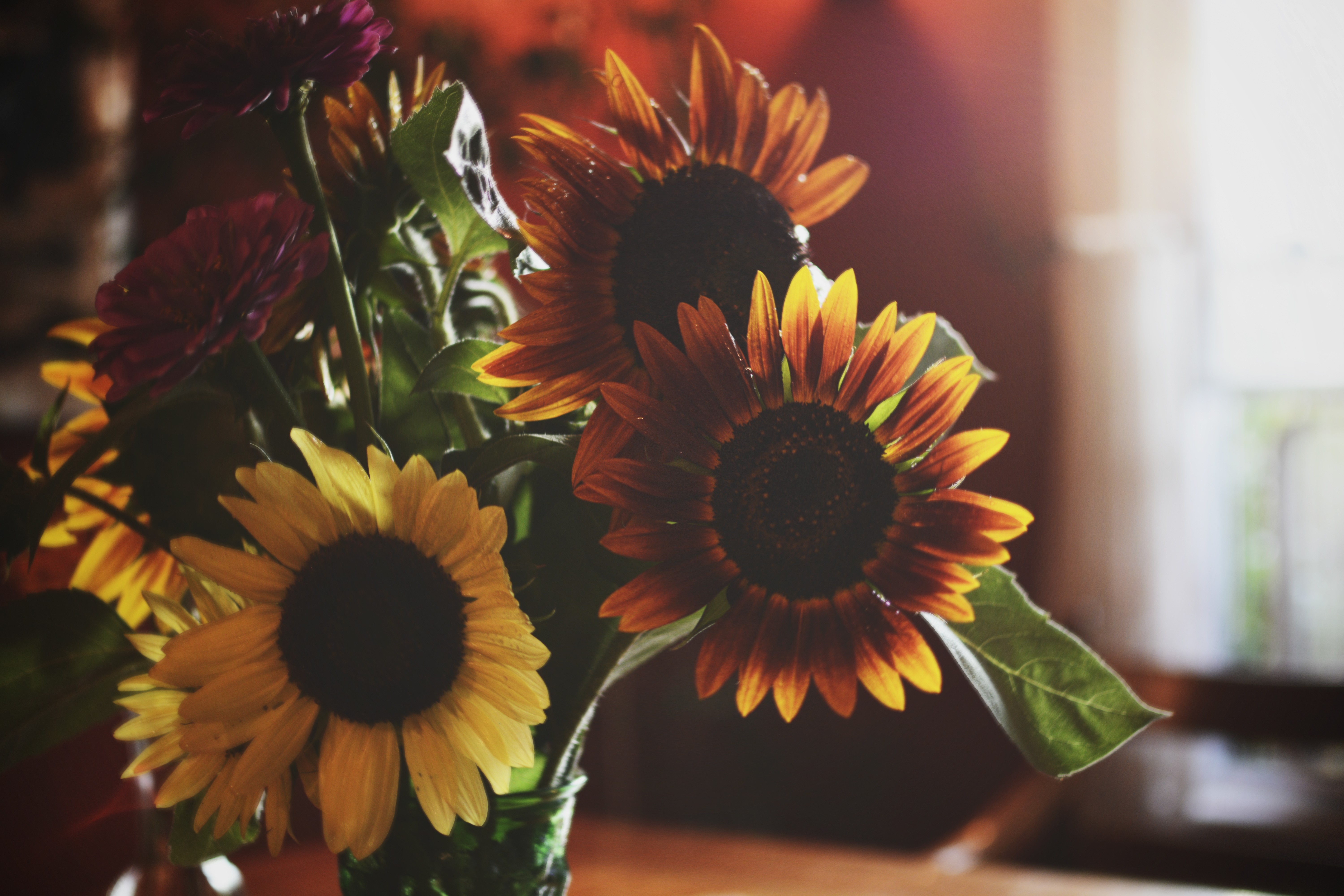 Sunflowers in a vase HD Wallpaper