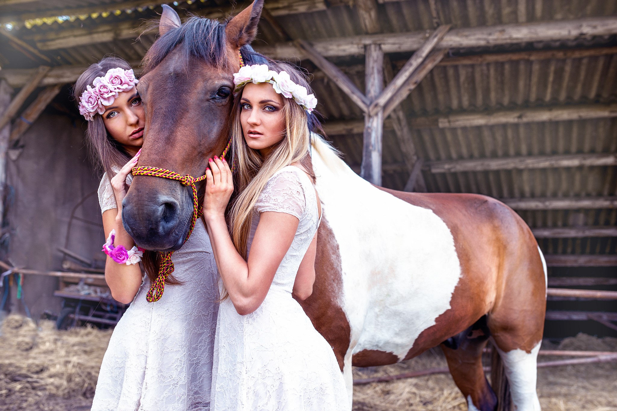 Two women with a horse in a barn HD Wallpaper