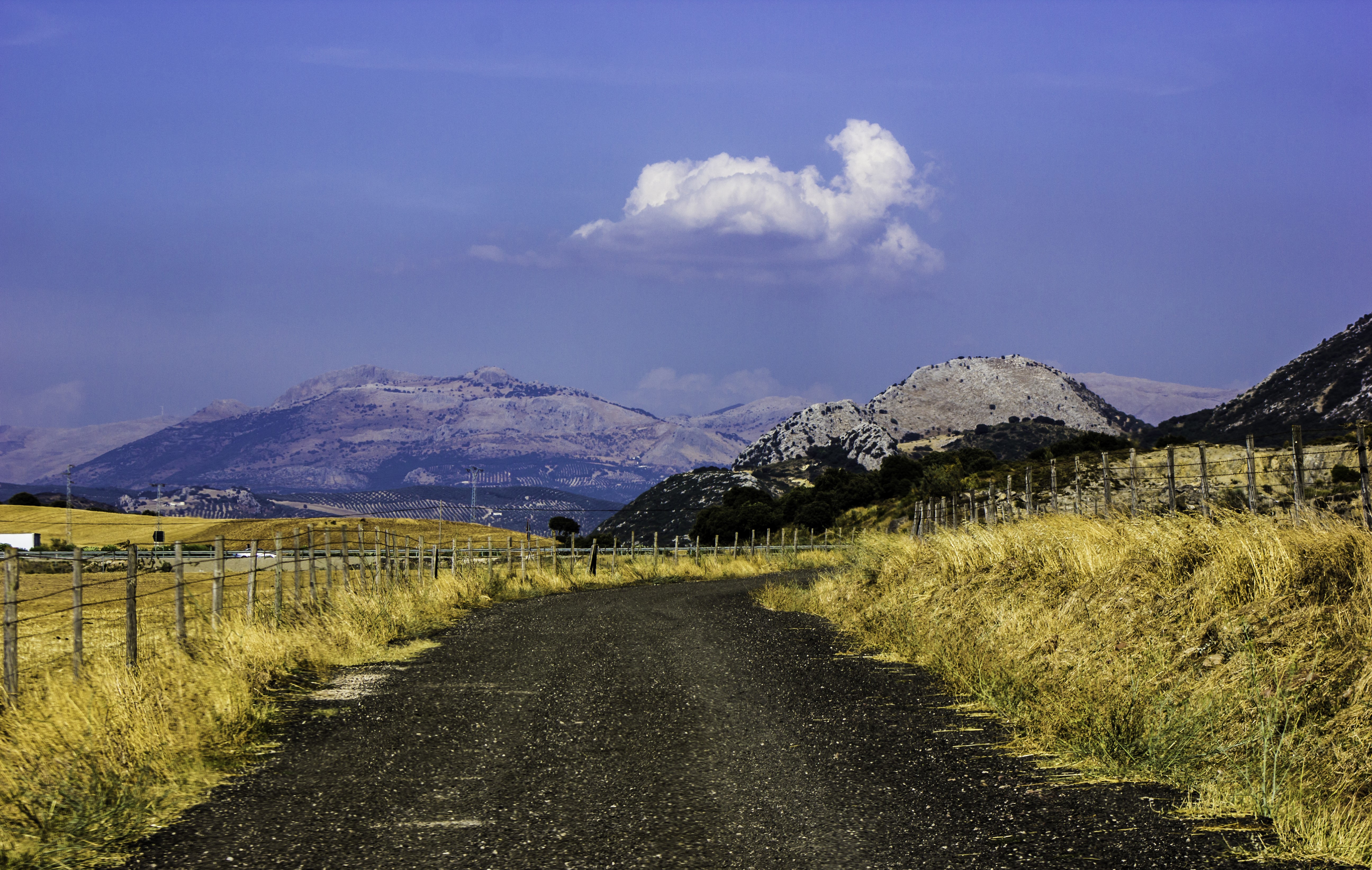 Road through a rural landscape with mountains and fence HD Wallpaper