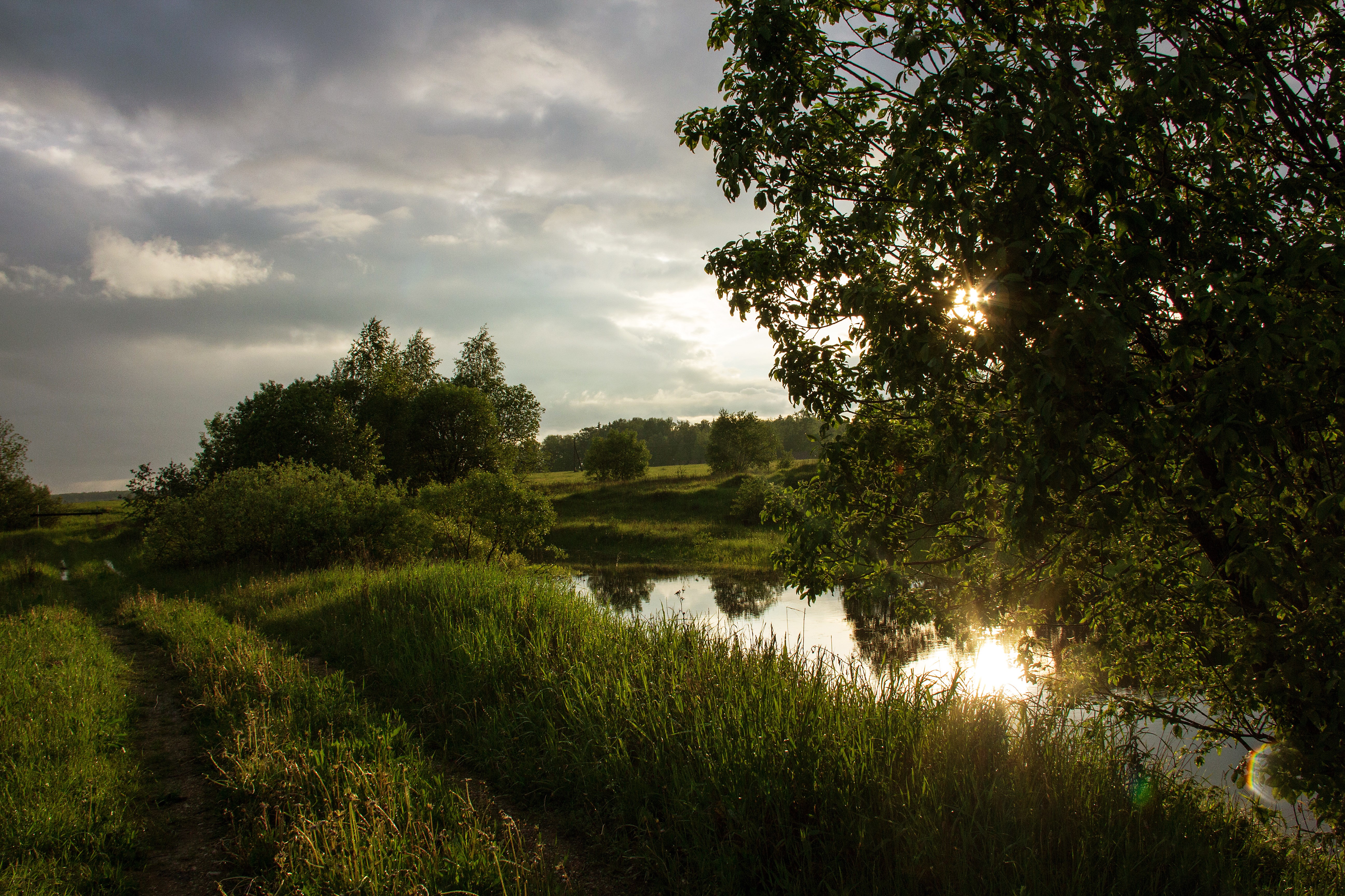 Summer landscape with a dirt path and a river HD Wallpaper