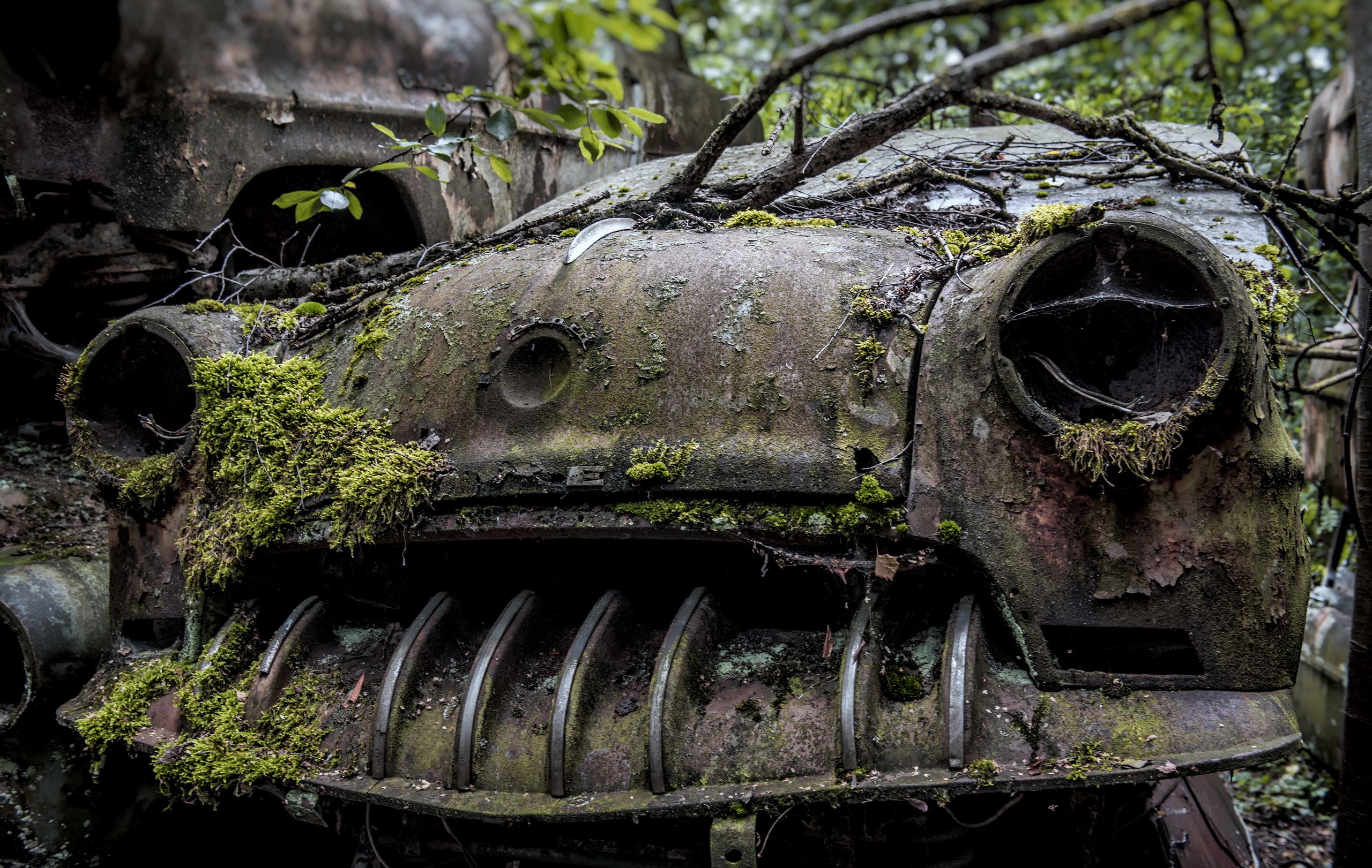 Abandoned car covered in moss and vines HD Wallpaper