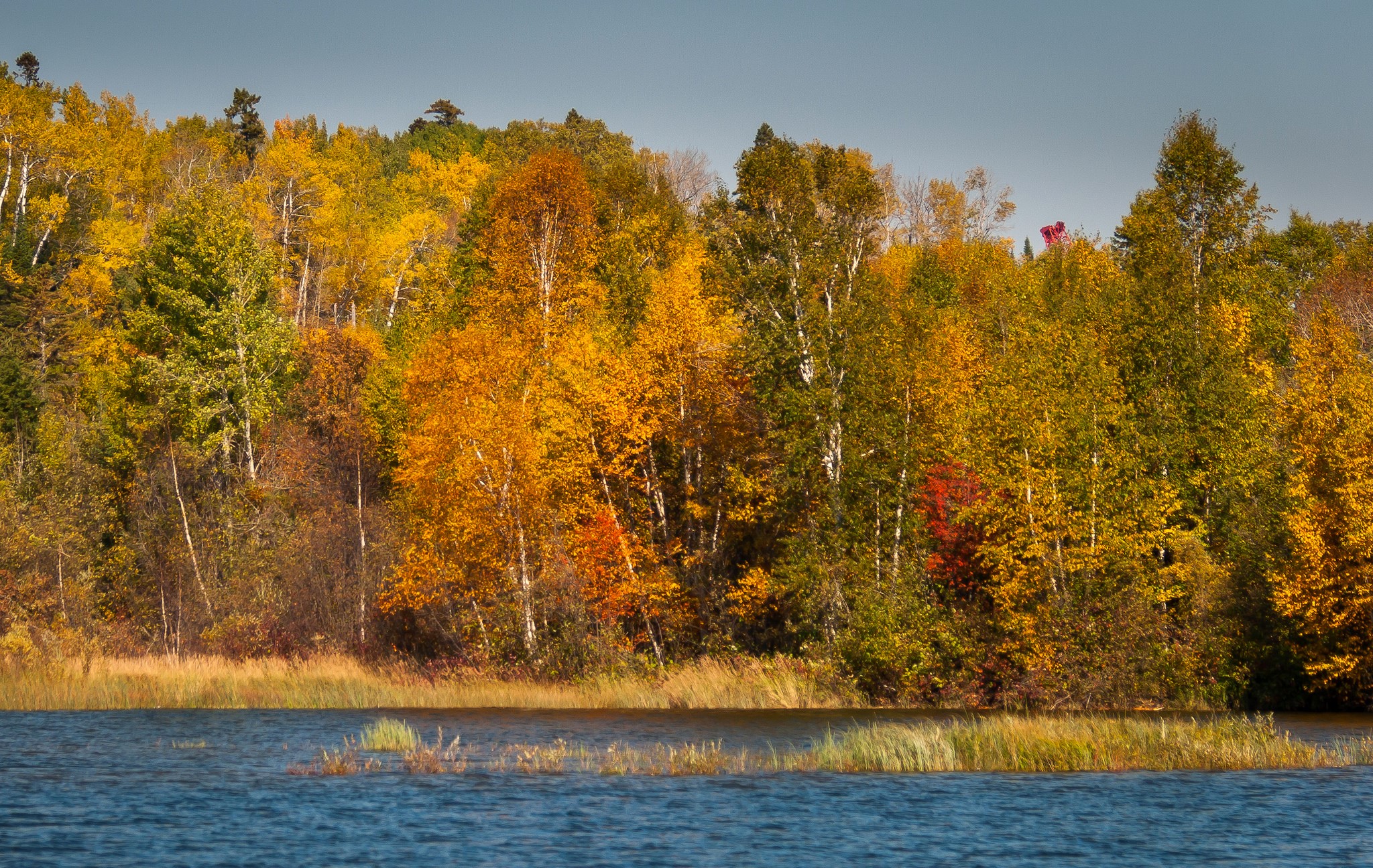 Autumn forest on the shore of a lake HD Wallpaper