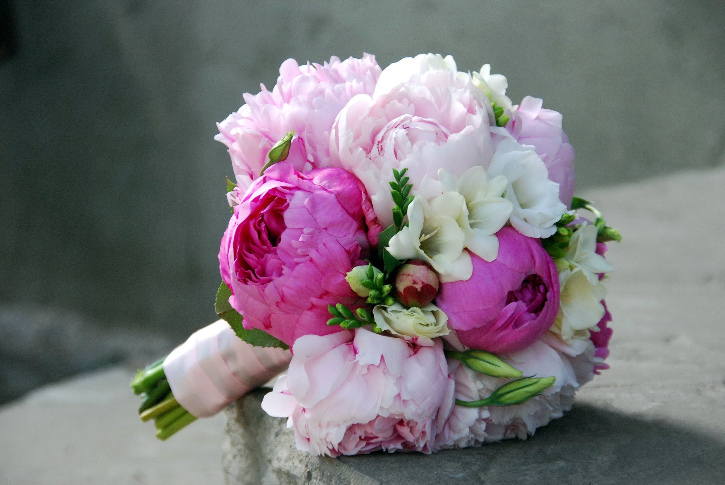 Pink and white peonies and freesia bouquet HD Wallpaper