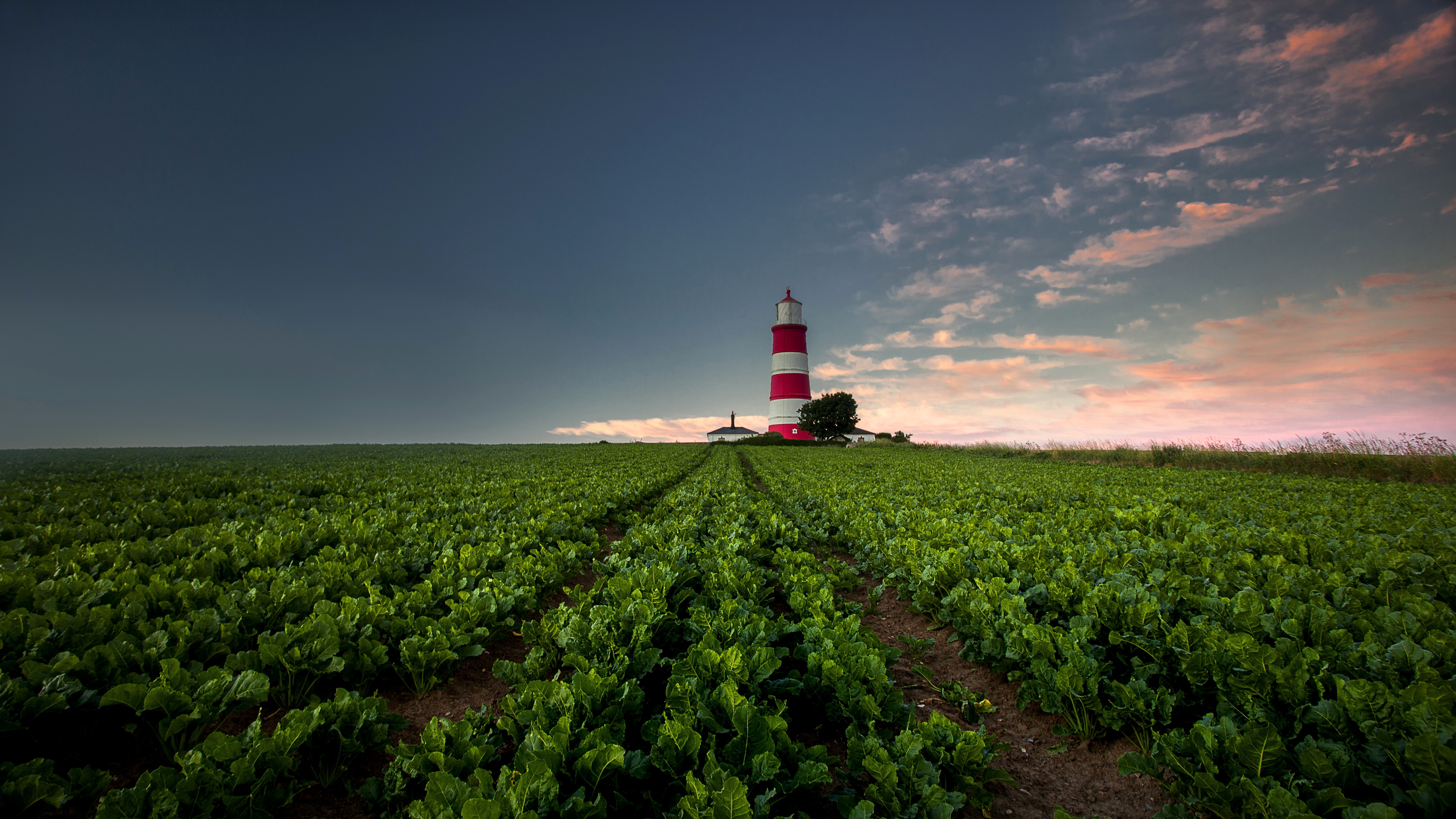 Red and white lighthouse in a field at sunset HD Wallpaper