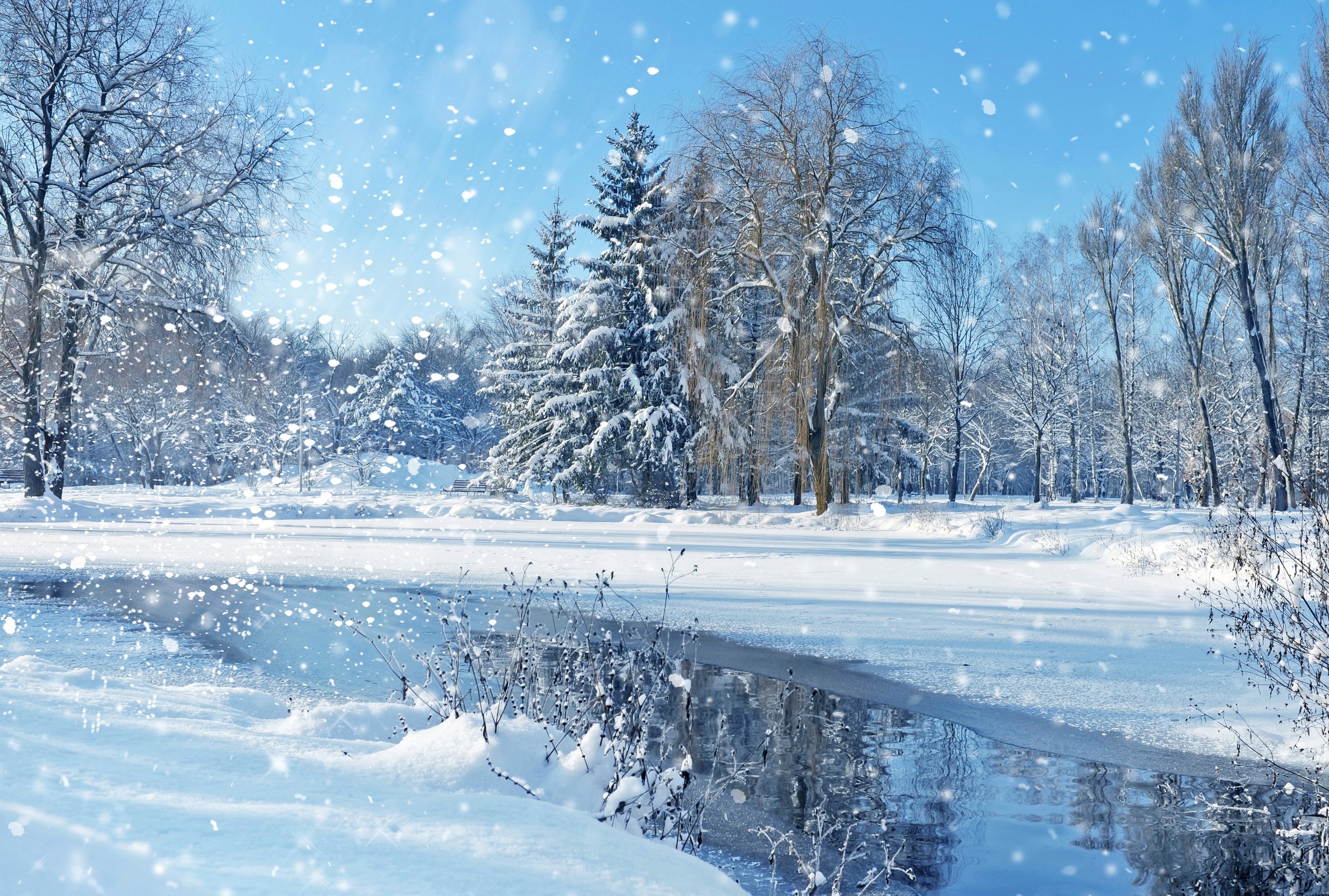 Winter park with snow falling on a frozen lake HD Wallpaper