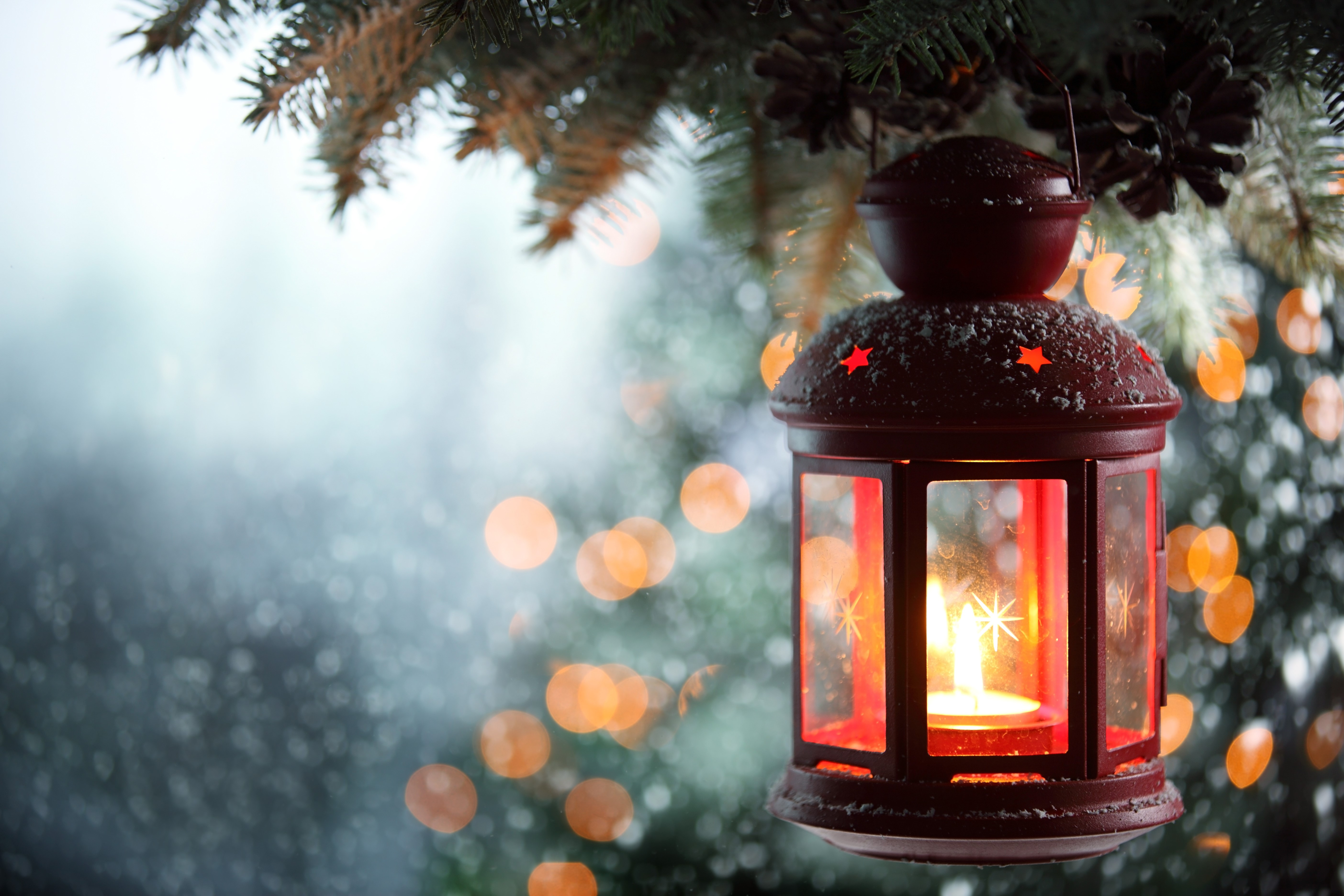 Christmas lantern with candle on a pine branch HD Wallpaper