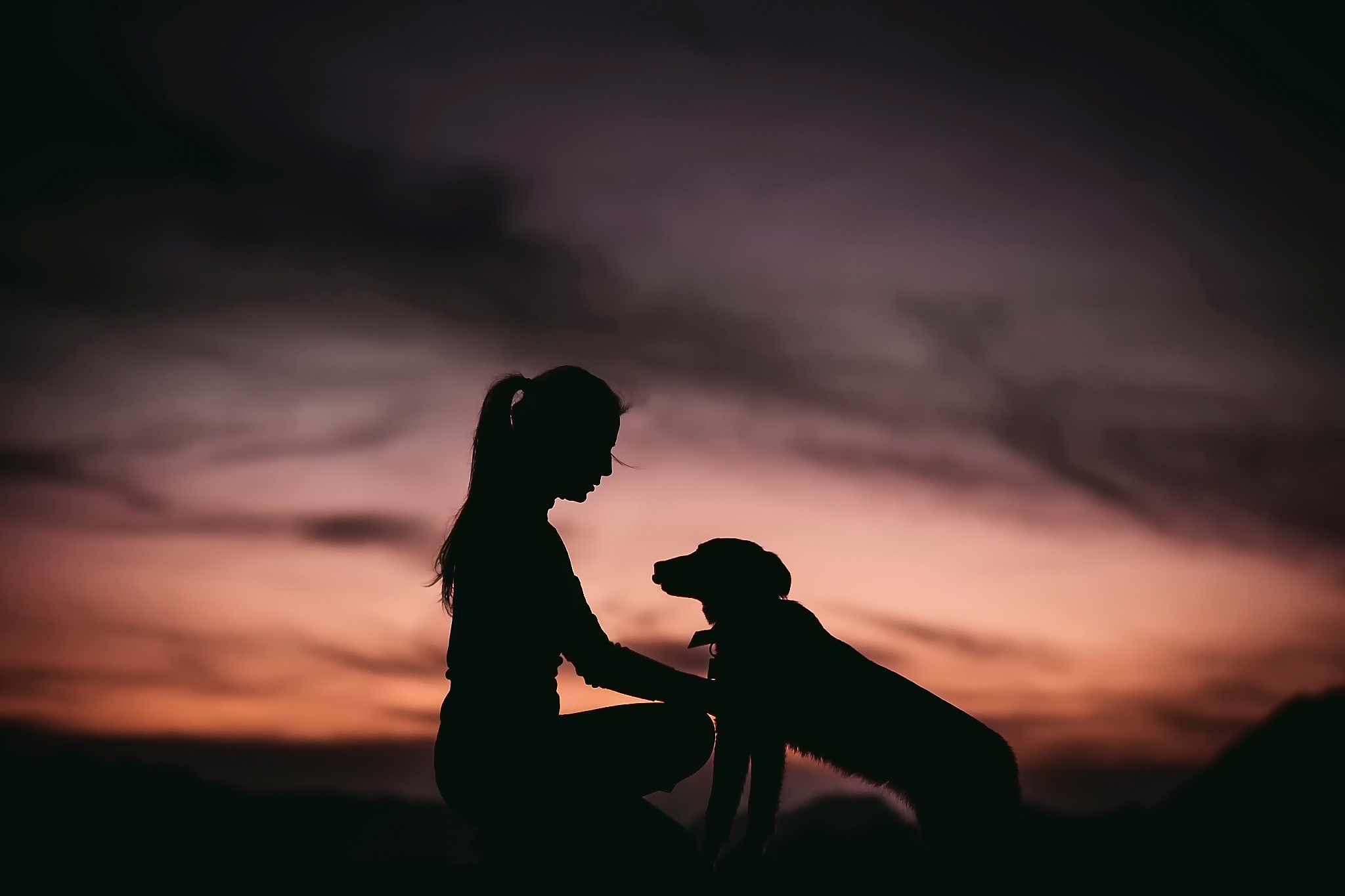 Silhouette of a girl and dog at sunset HD Wallpaper