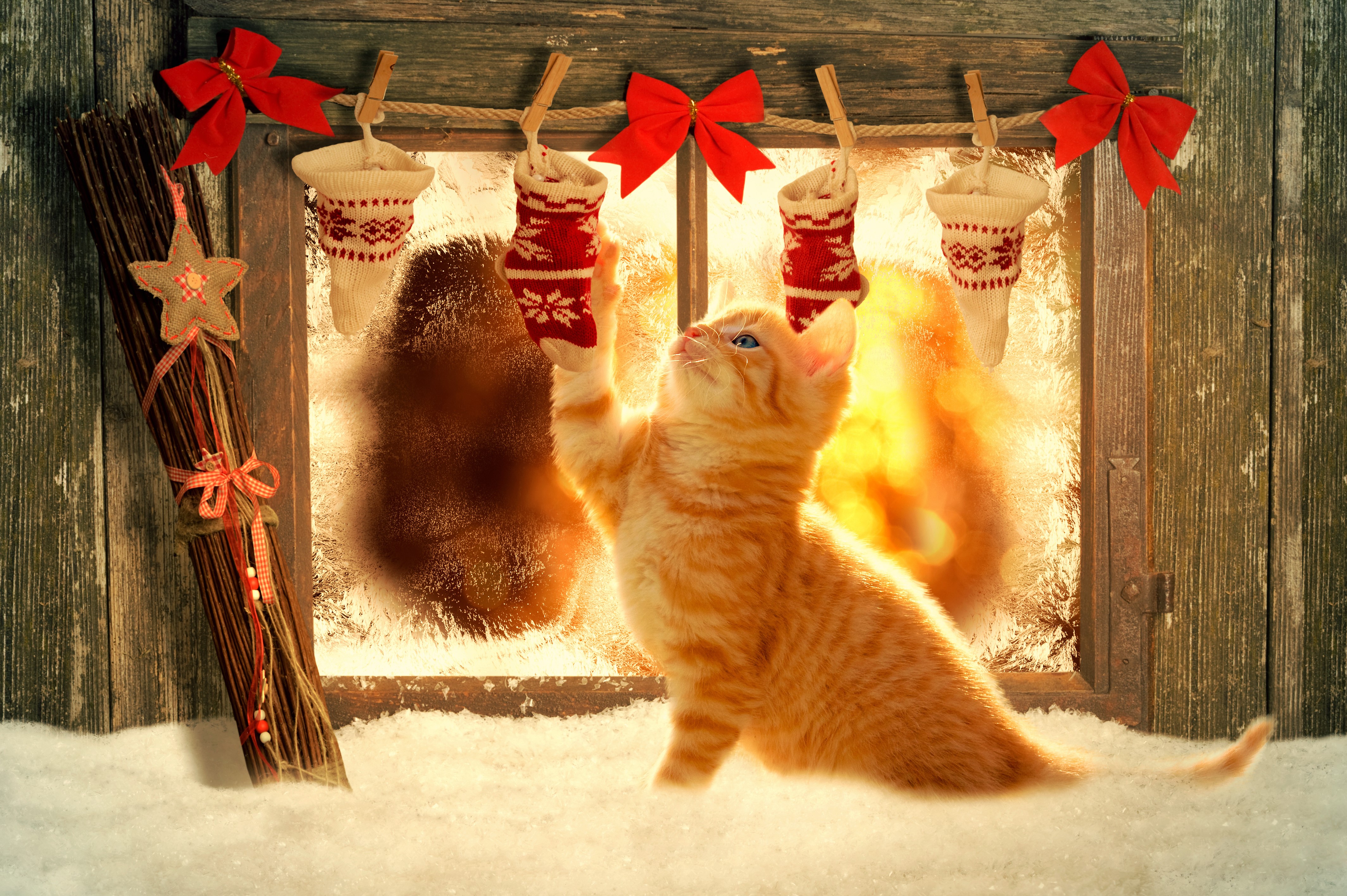 Ginger kitten reaching for Christmas stockings by a snowy window HD Wallpaper