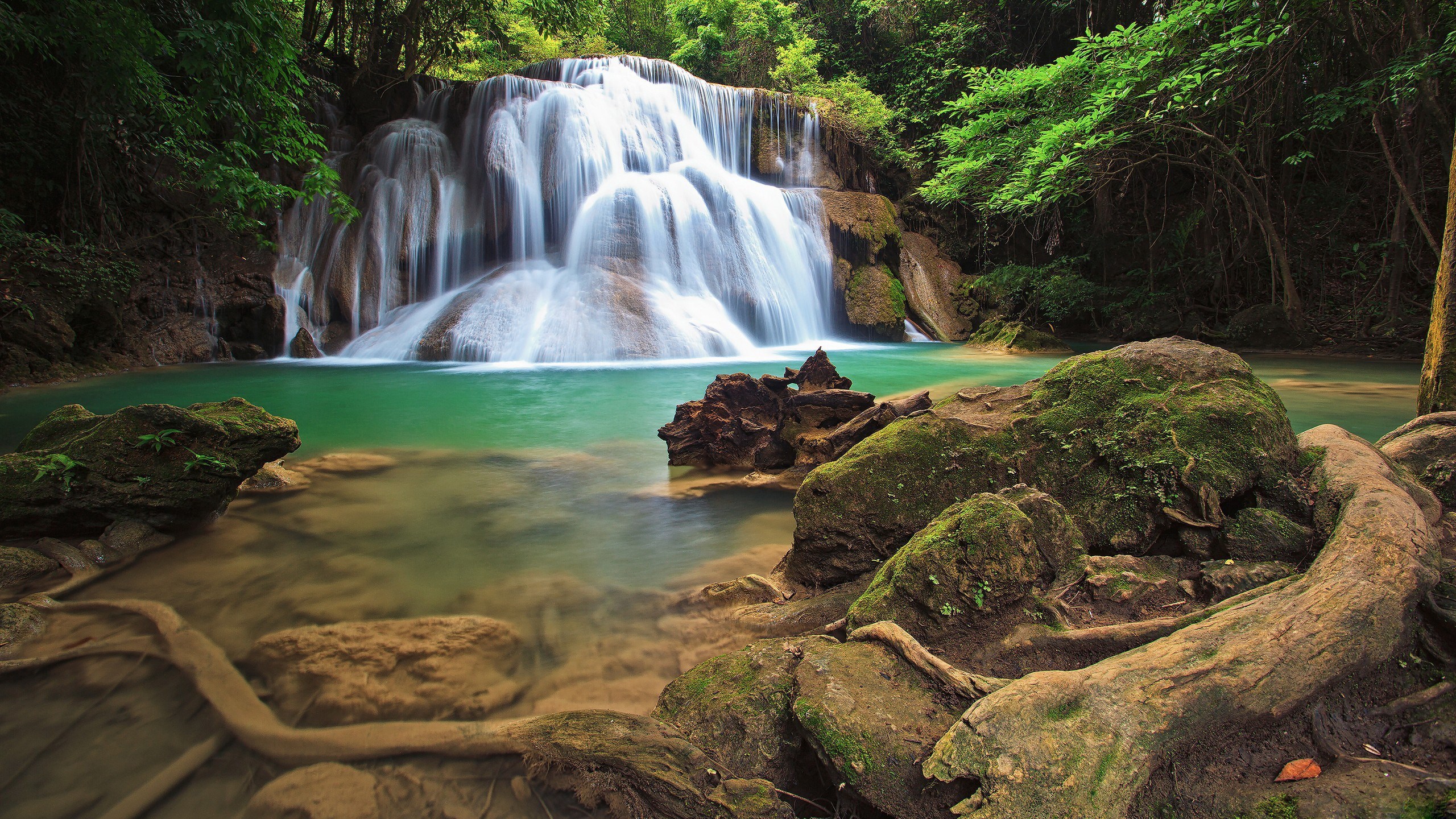 A cascading waterfall flows into a turquoise pool surrounded by lush green forest. HD Wallpaper