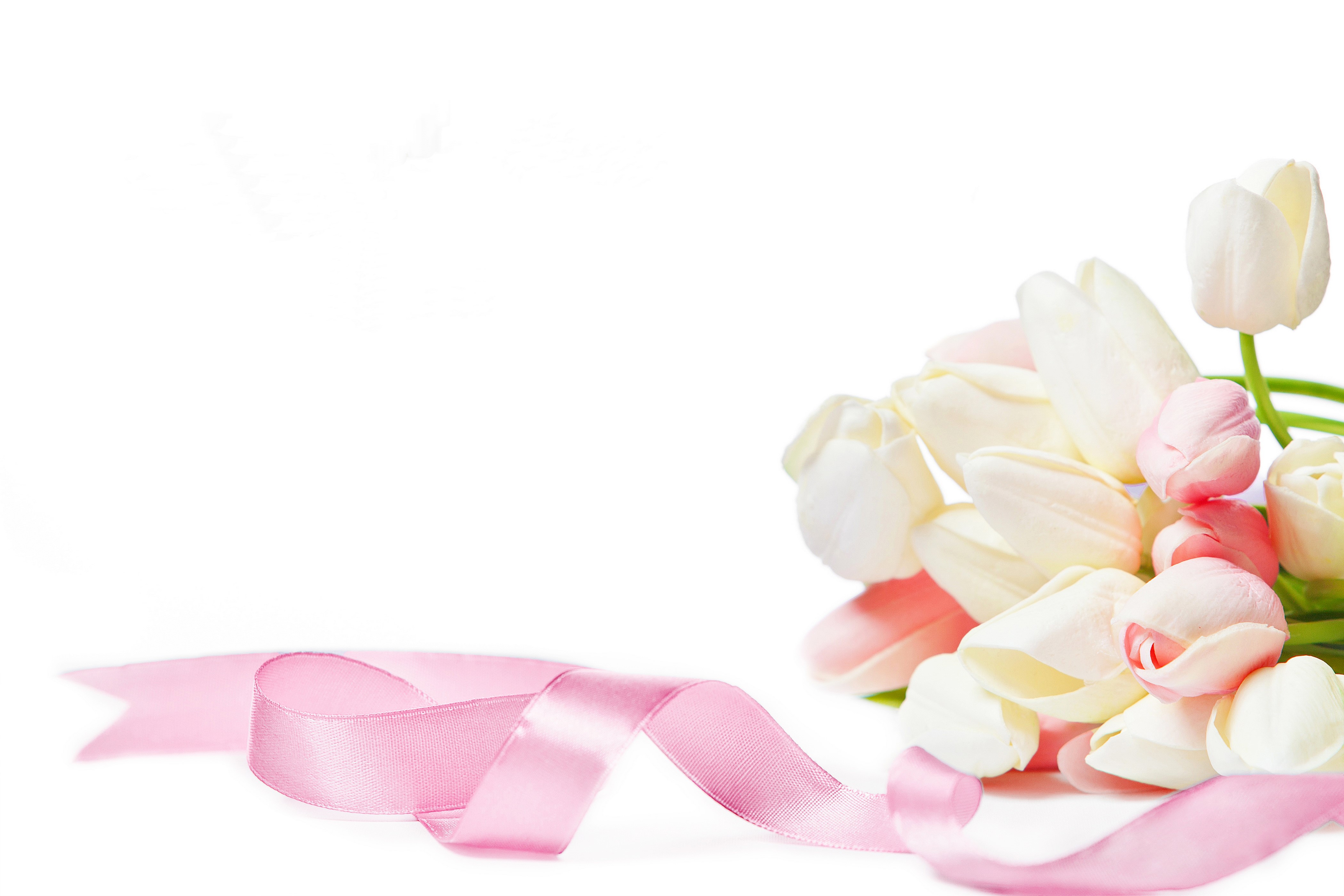 4K Tulips and Pink Ribbon HD Wallpaper