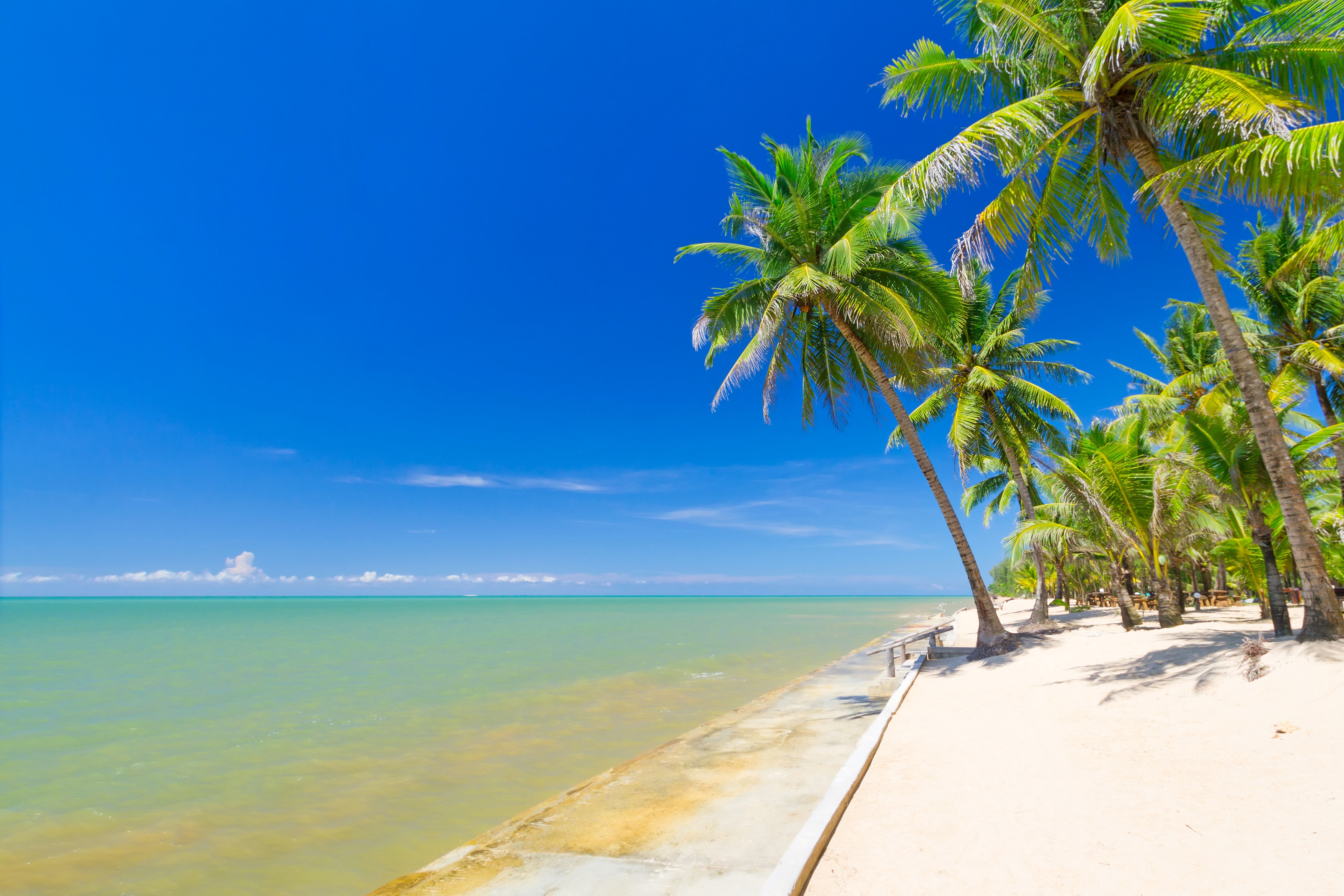 4K Tropical Beach with Palm Trees in Thailand HD Wallpaper