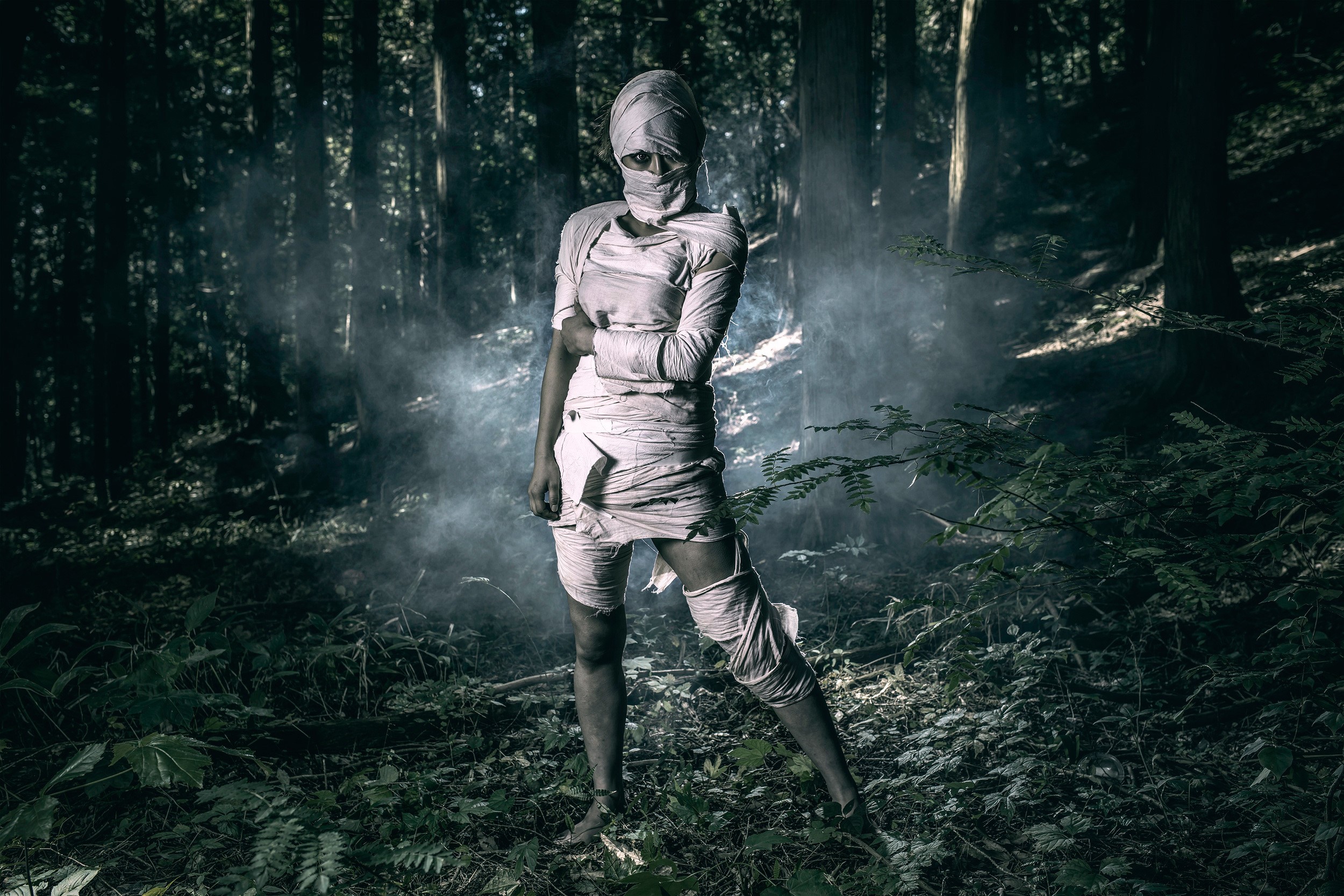Mummy in a foggy forest HD Wallpaper