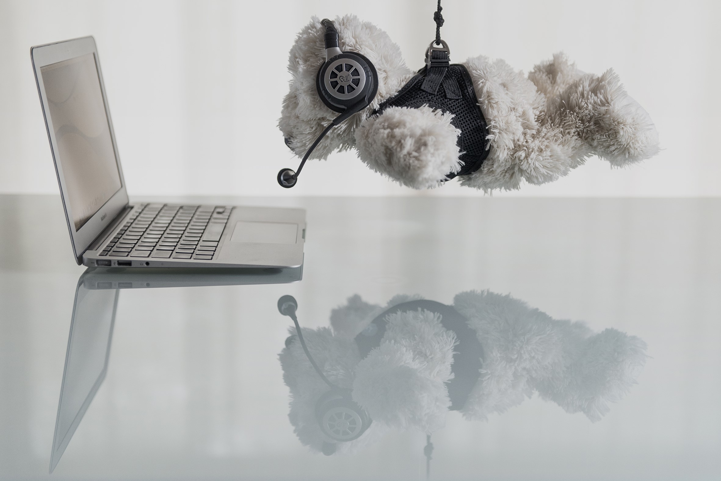 Teddy bear with headphones and laptop on reflective surface HD Wallpaper