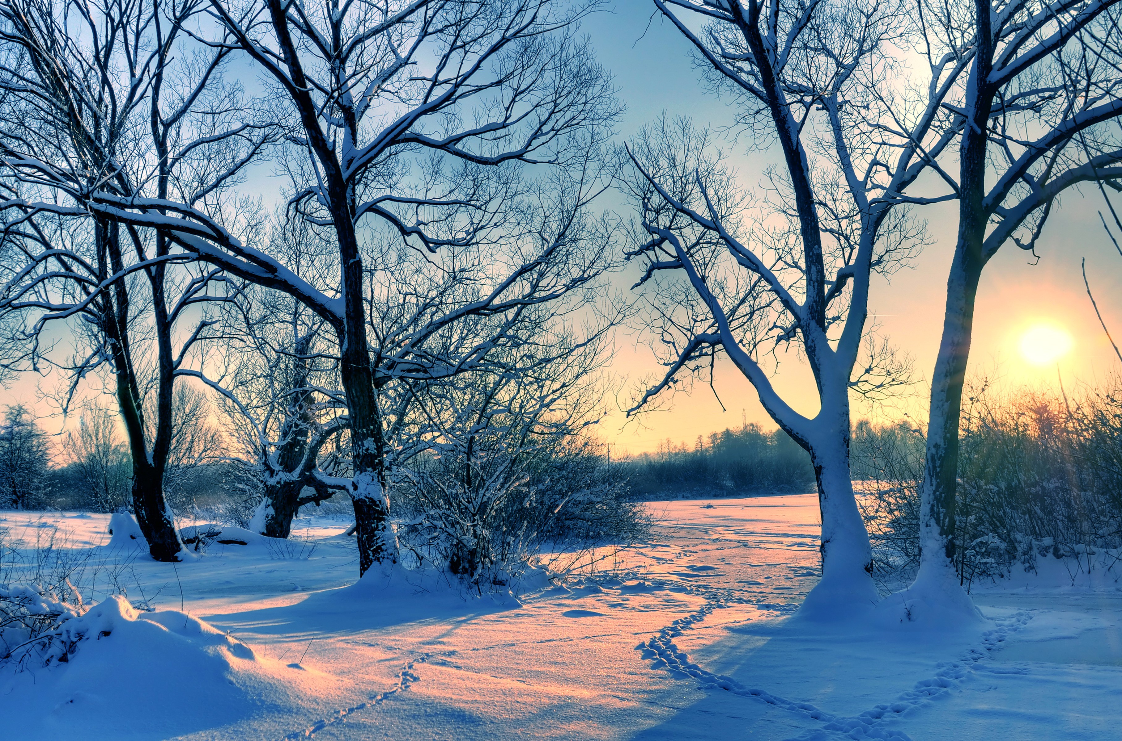 Winter landscape with snow-covered trees at sunset HD Wallpaper