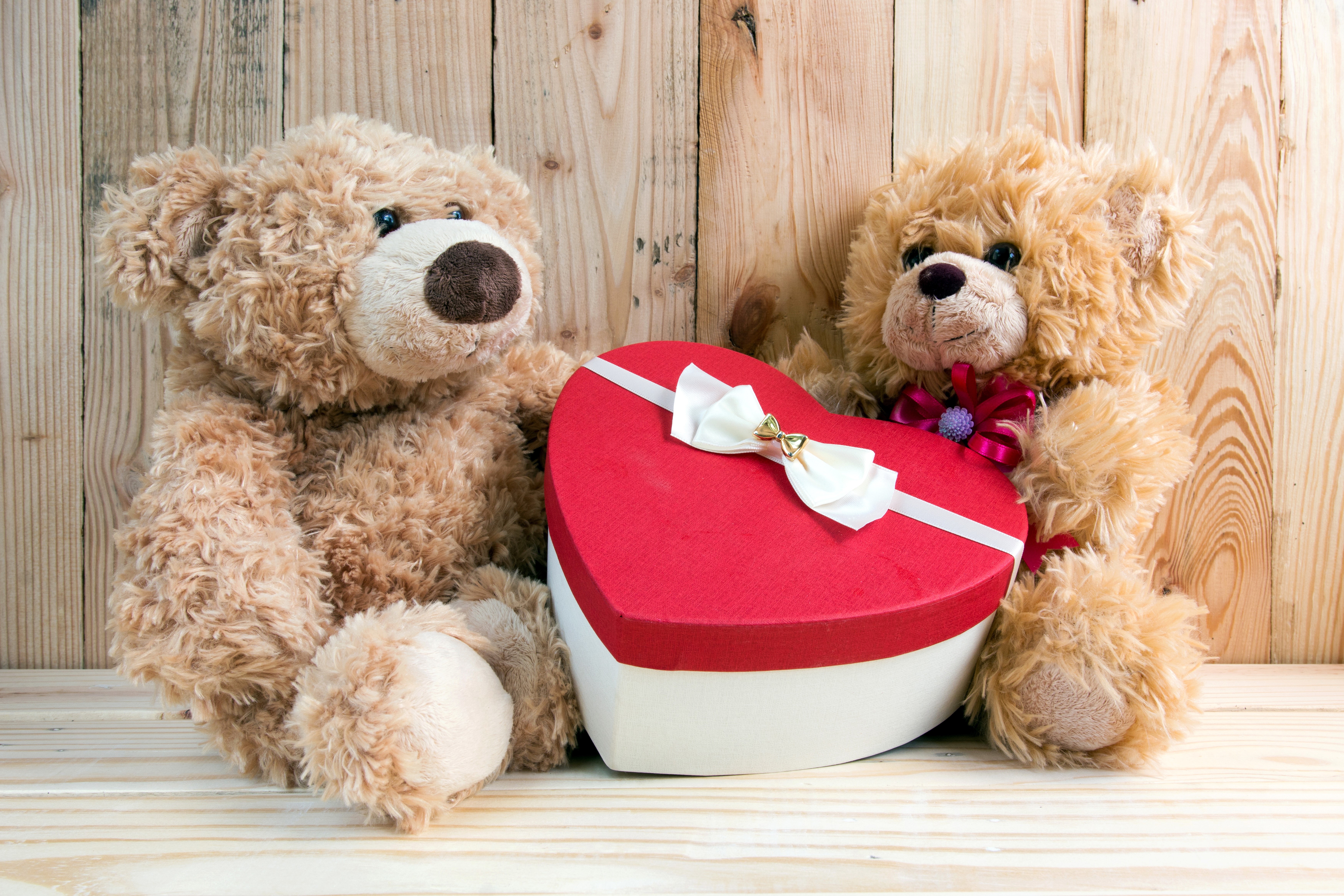 Two teddy bears with a heart-shaped gift box HD Wallpaper