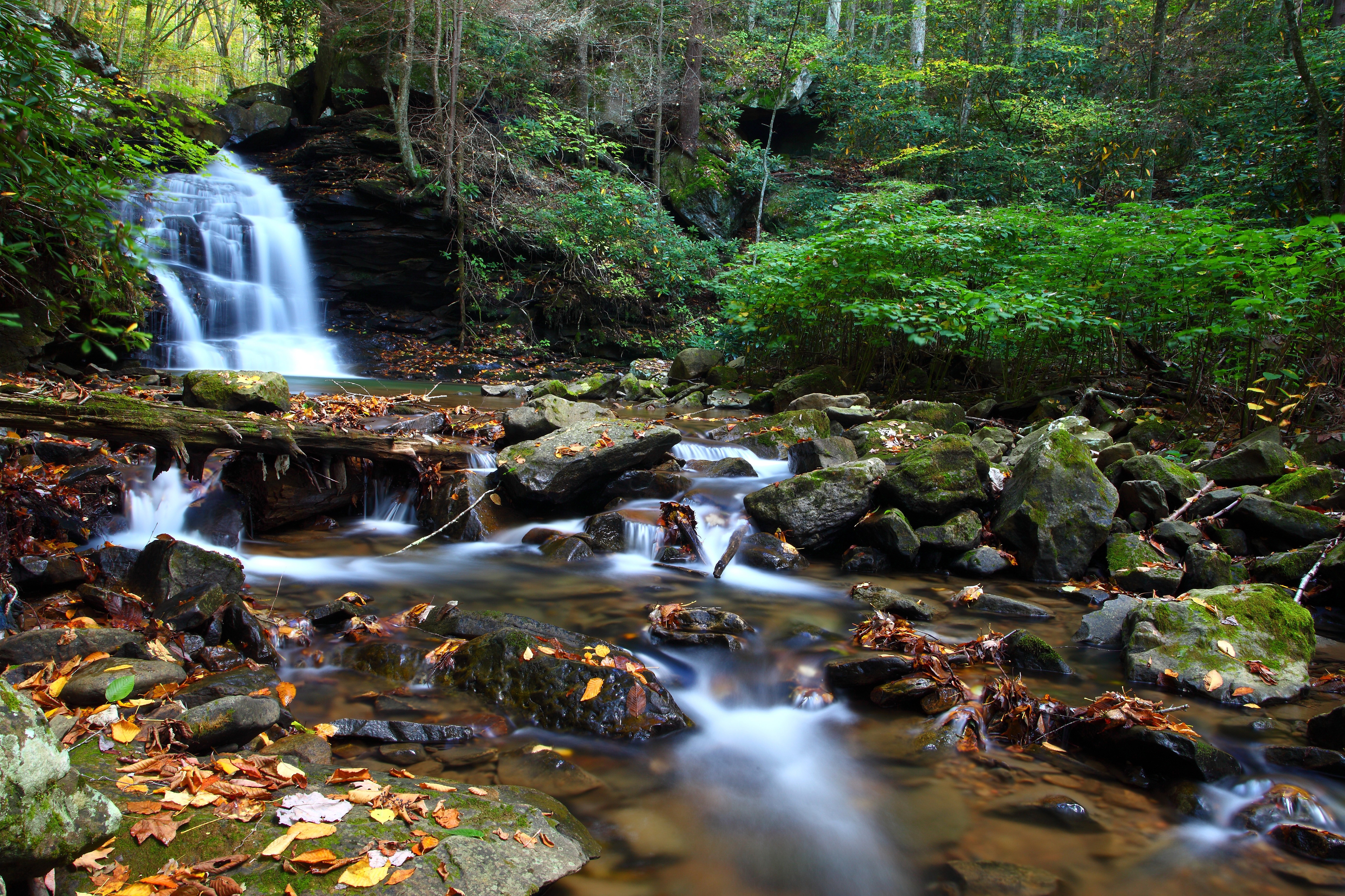 Waterfall in an autumn forest with stones and moss HD Wallpaper