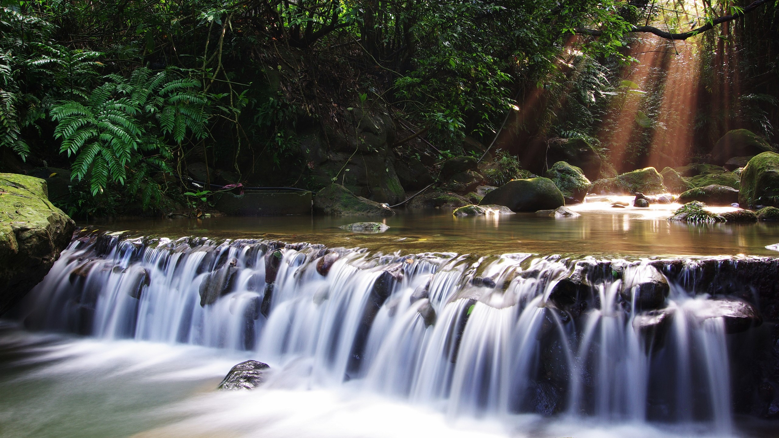 Waterfall in a lush forest with sunbeams HD Wallpaper