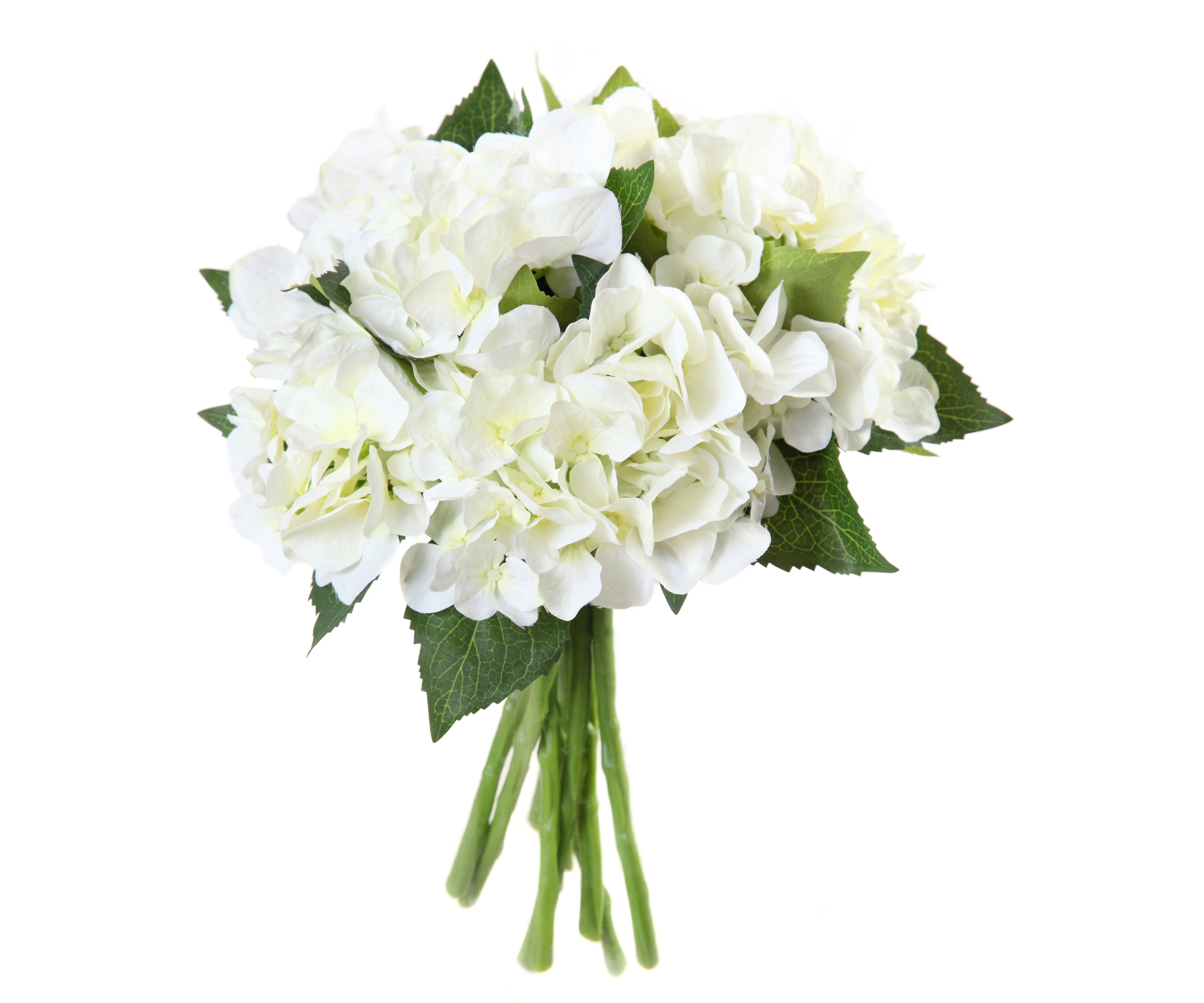 Bouquet of White Hydrangeas HD Wallpaper