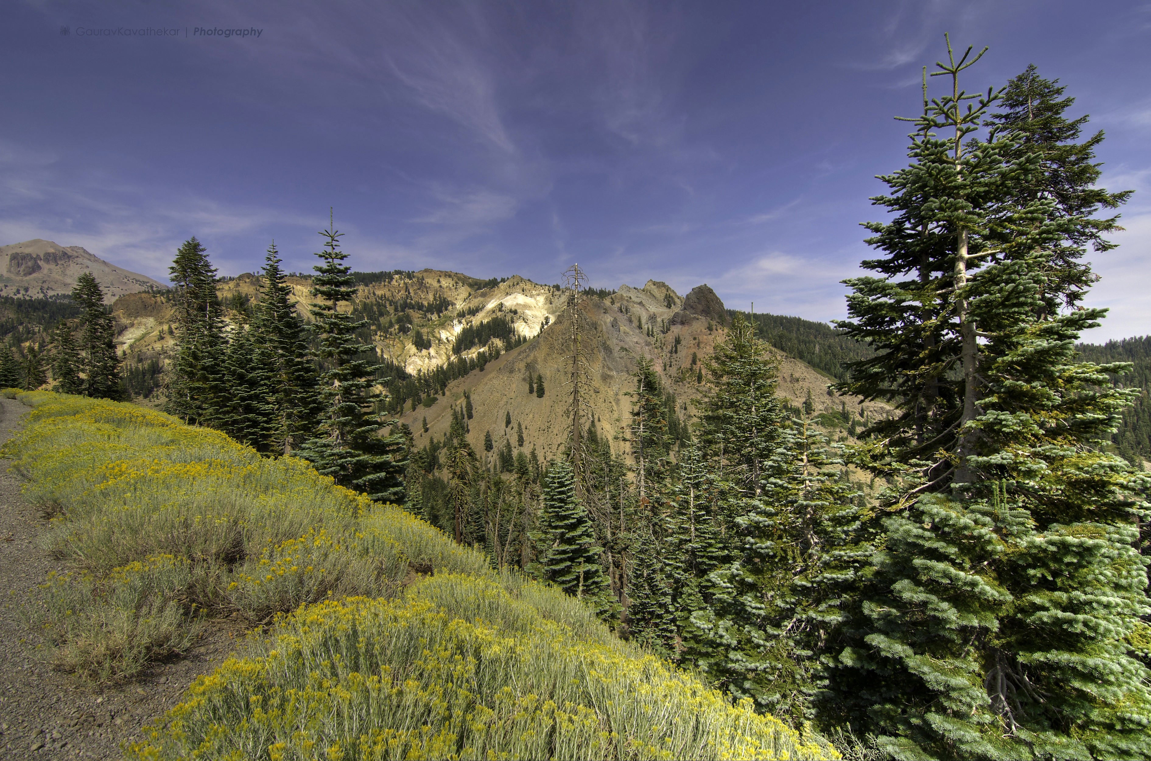 Lassen Volcanic National Park Mountains with Trees and Flowers HD Wallpaper