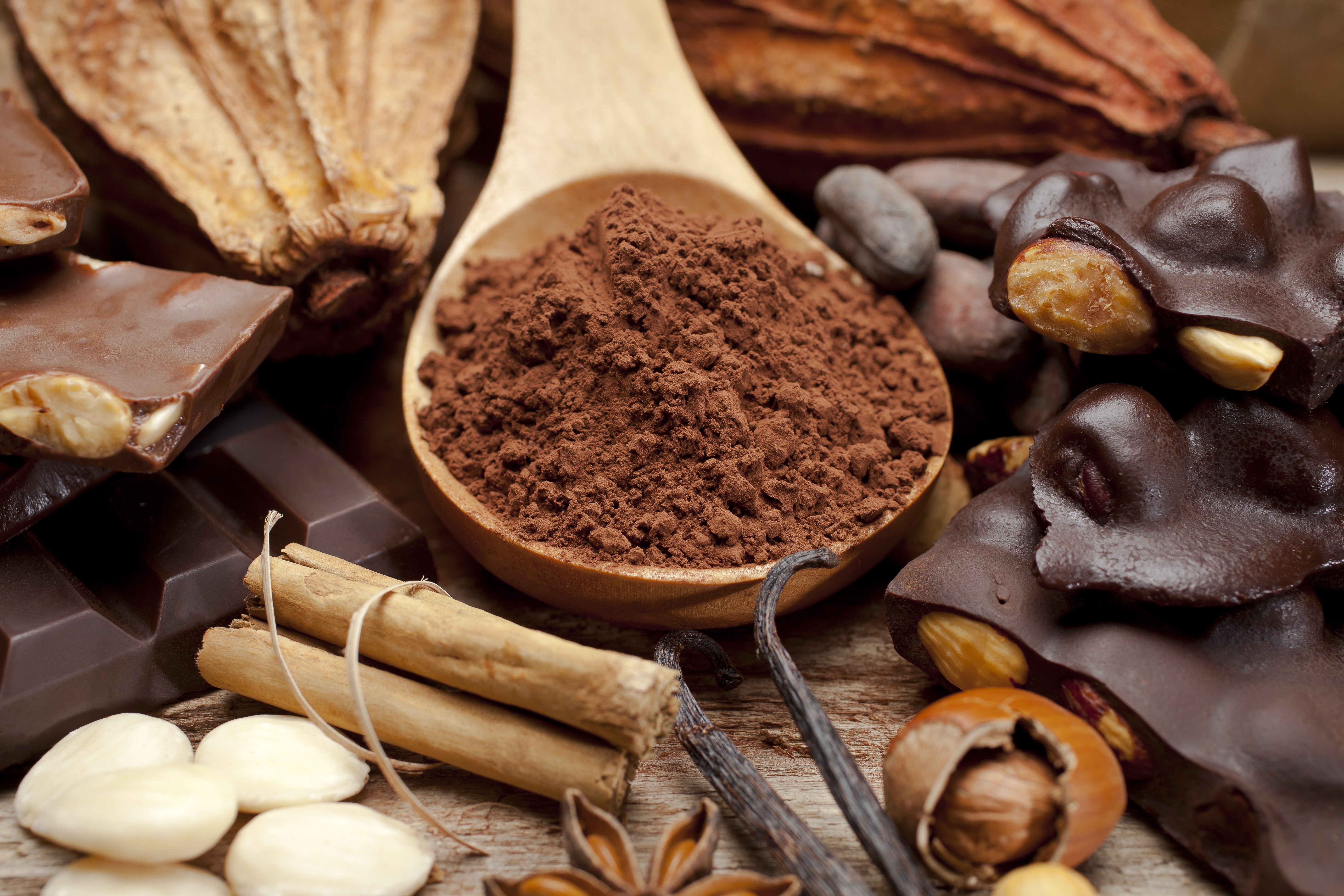 Chocolate, Nuts, Cinnamon, and Cocoa Powder HD Wallpaper