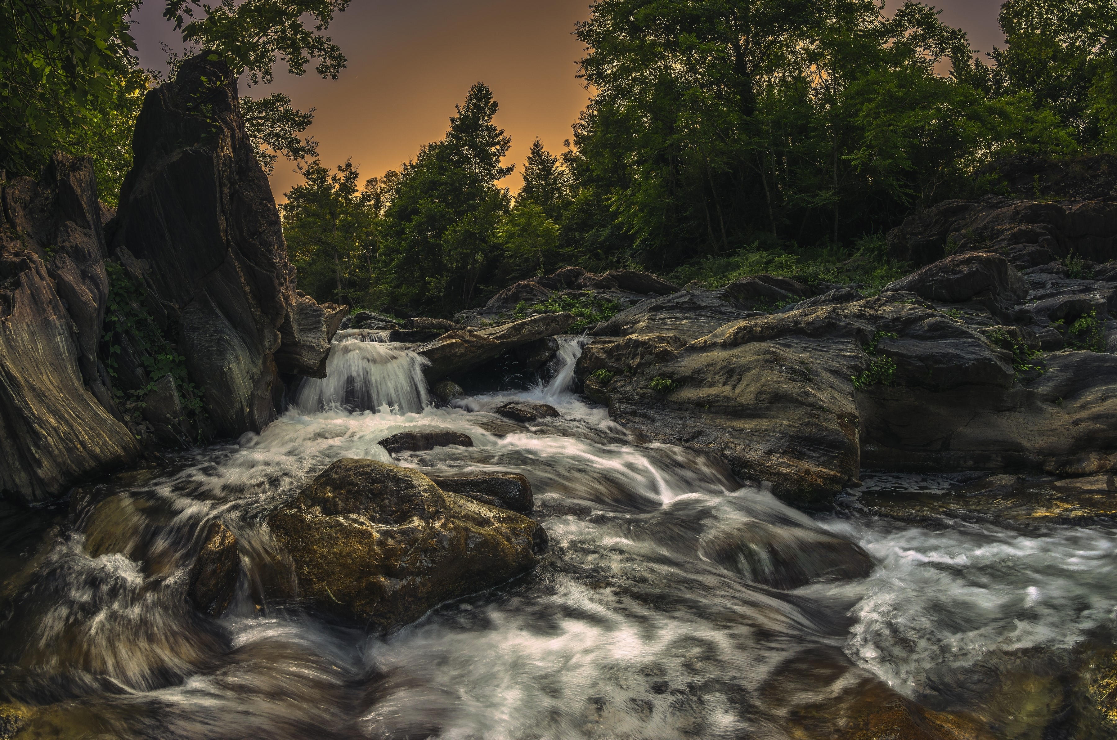 River flowing over rocks in a forest HD Wallpaper