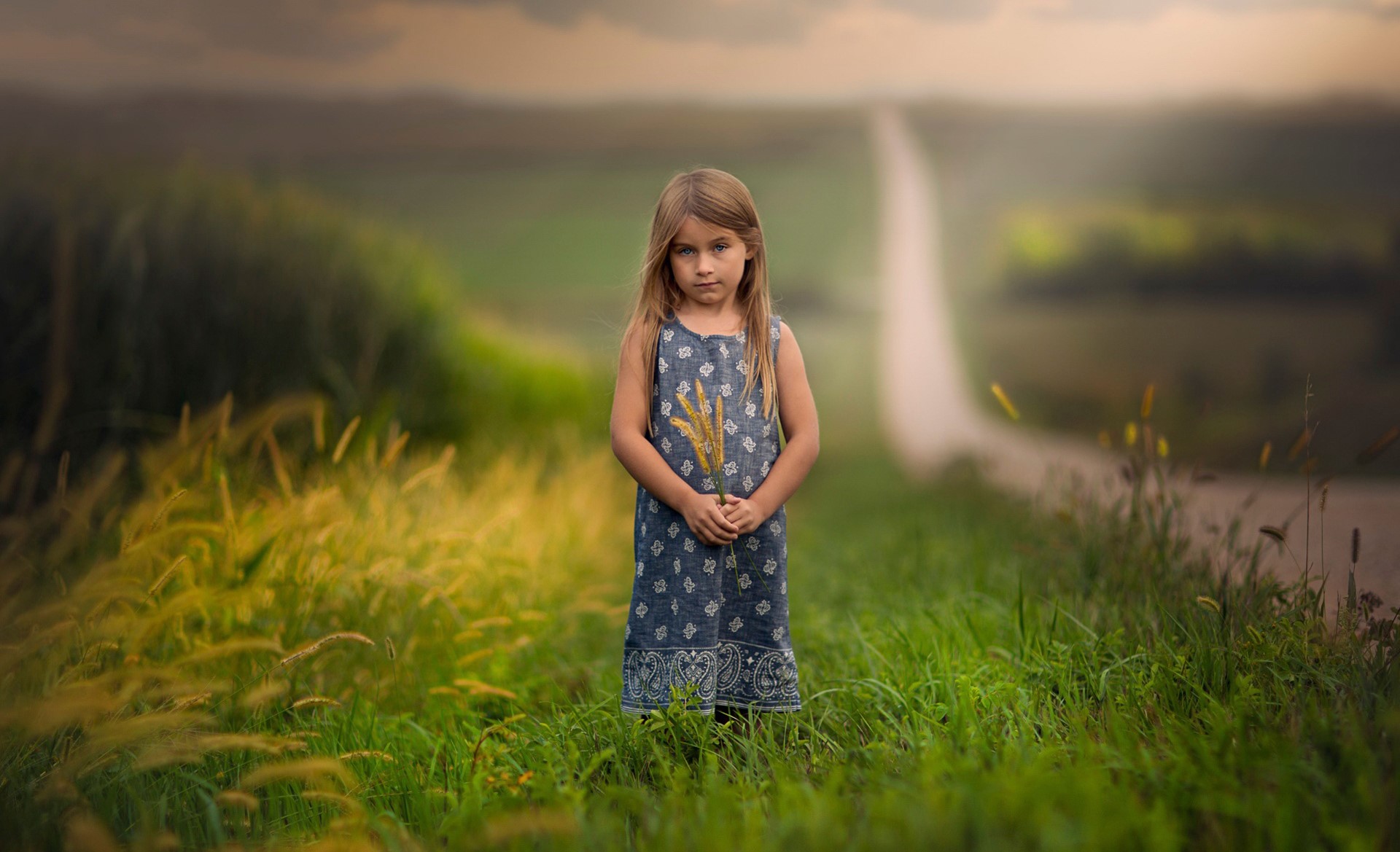 Girl in a field holding wheat stalks HD Wallpaper