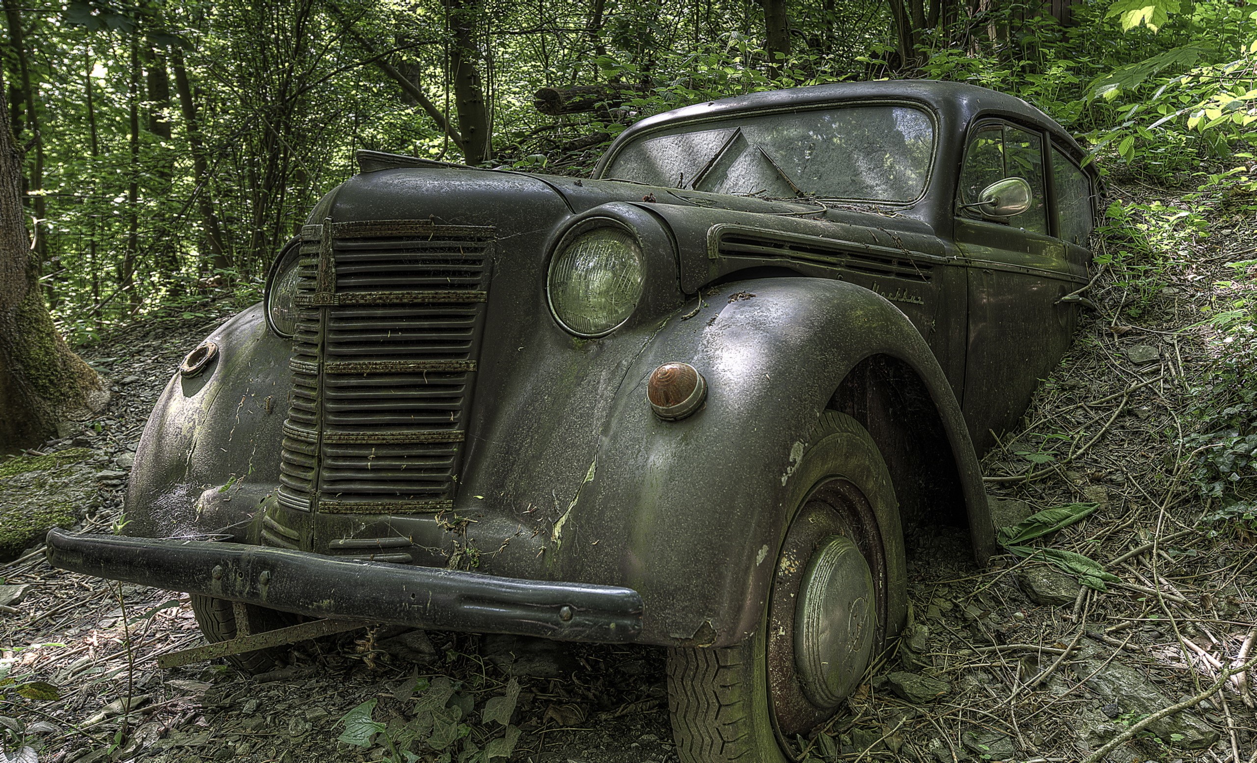 Abandoned vintage car in a forest HD Wallpaper