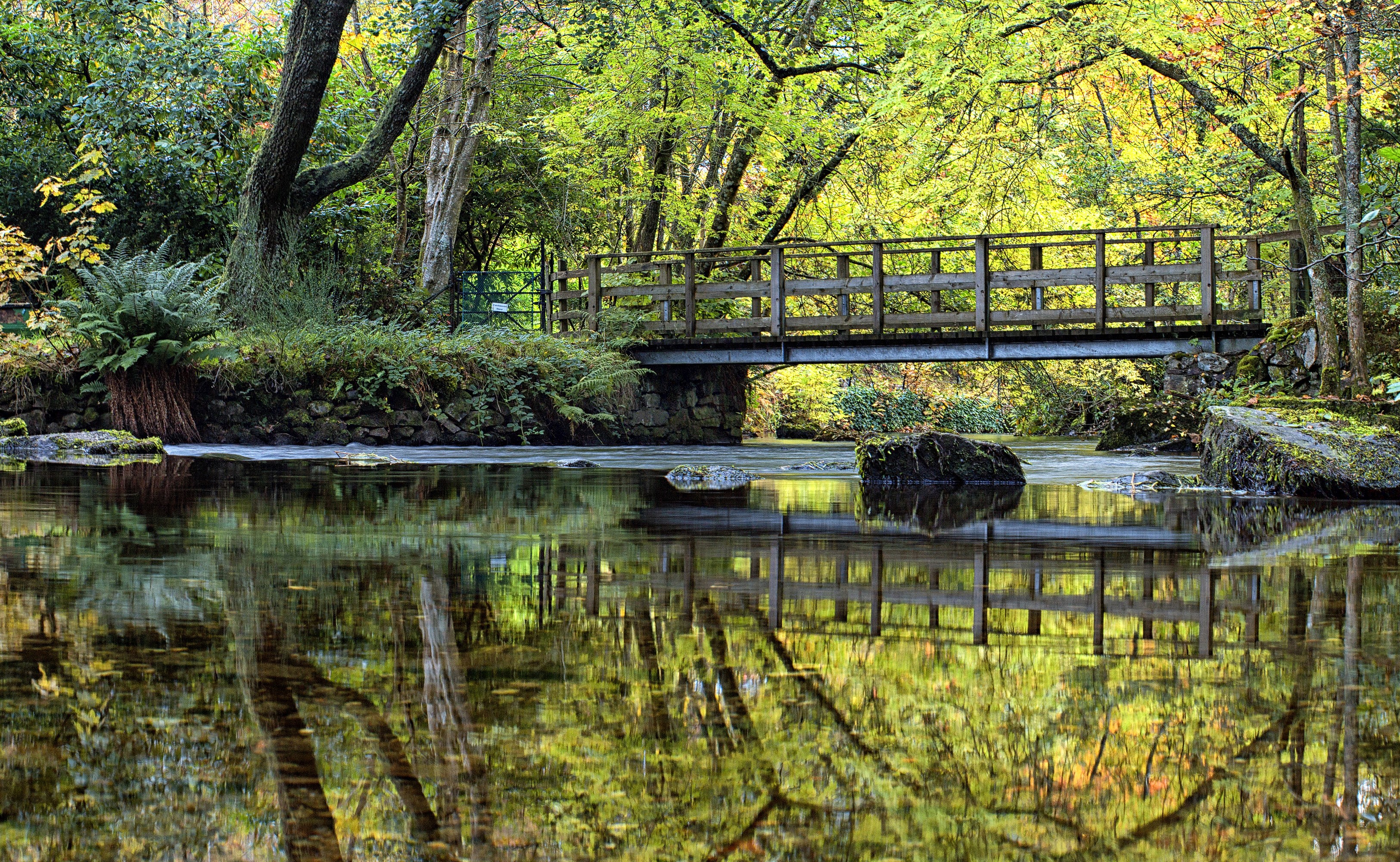 Wooden bridge over a river in Scotland HD Wallpaper