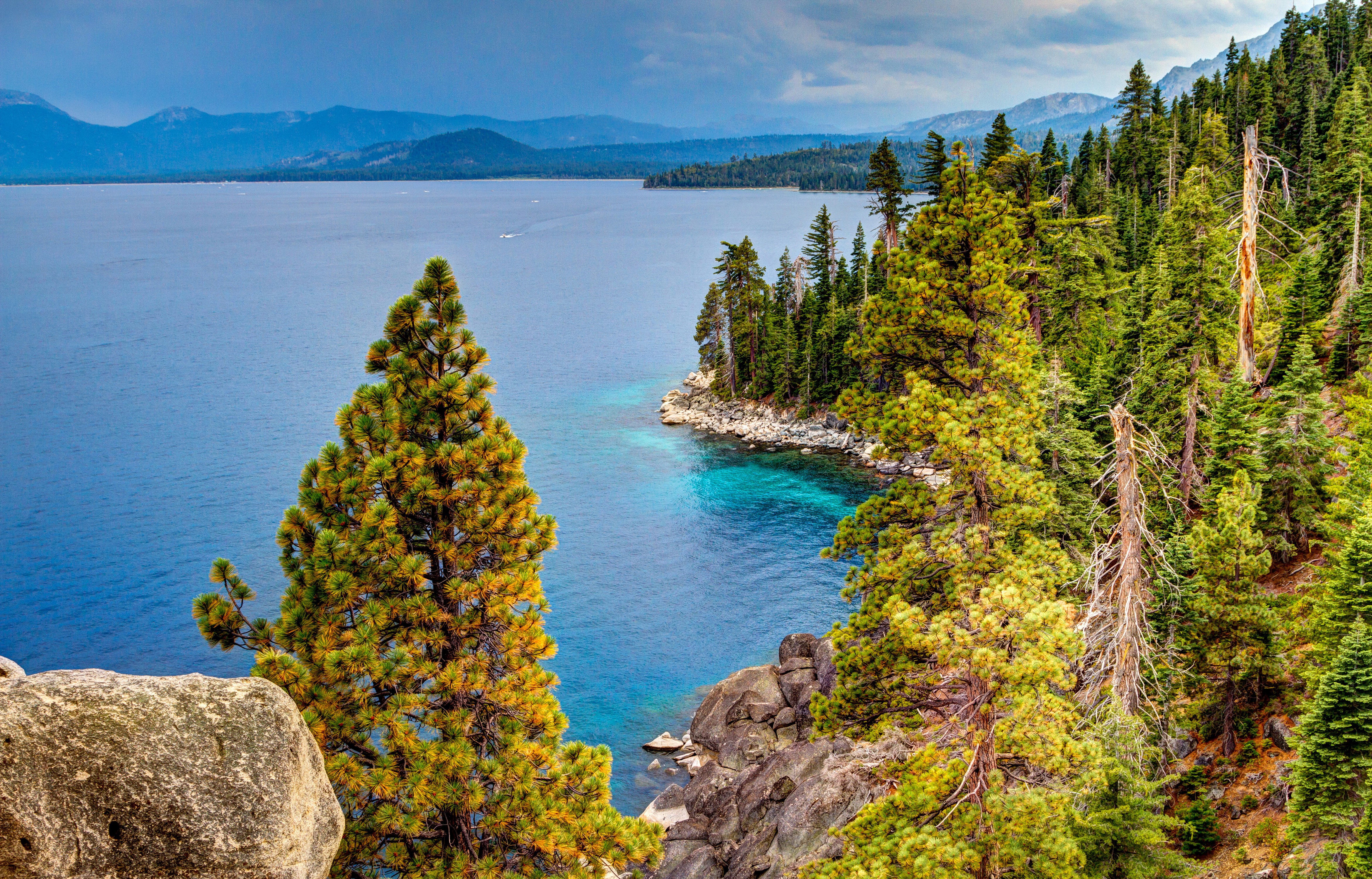 Lake Tahoe, California USA Forest Scenery HD Wallpaper