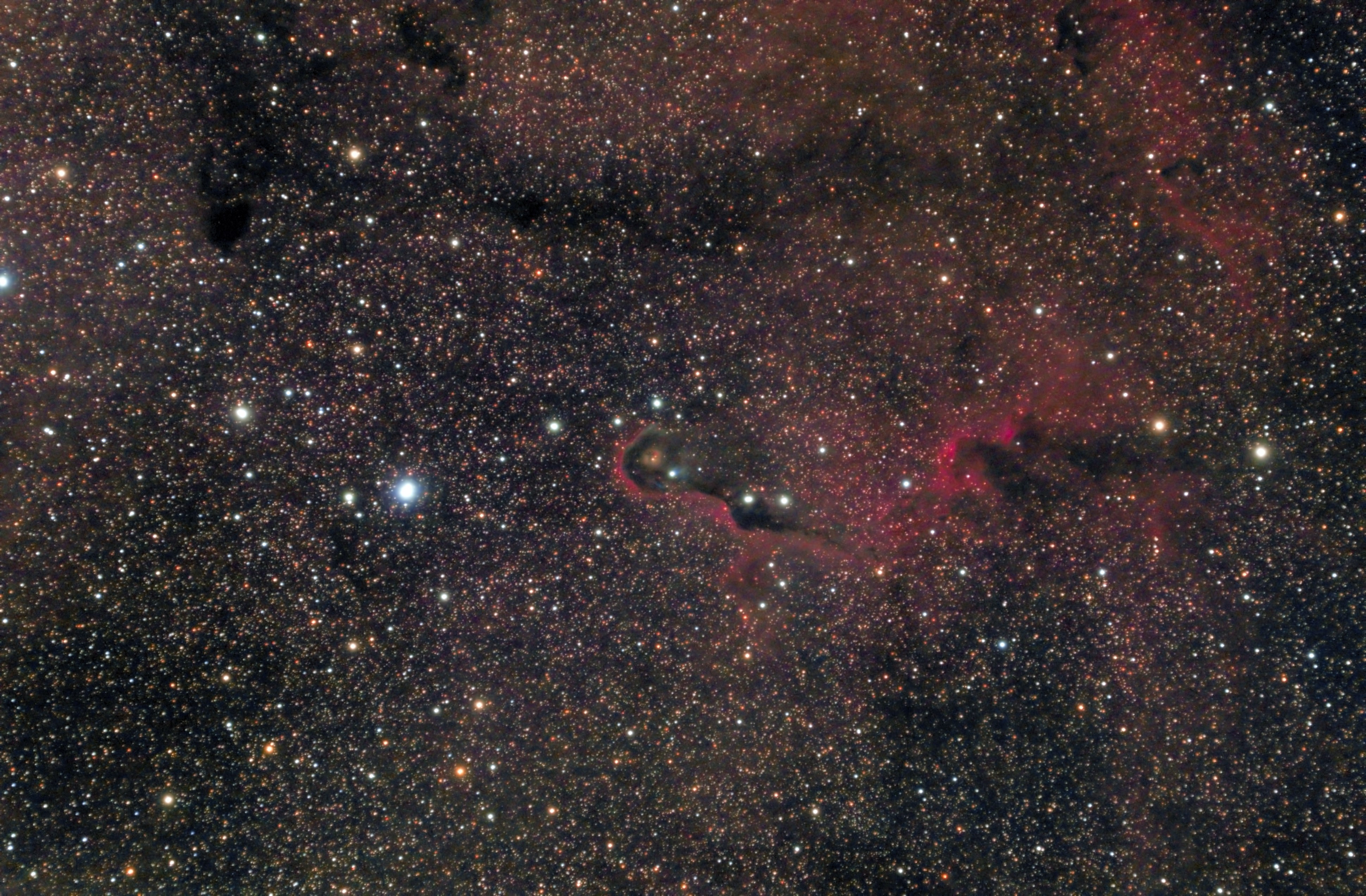 Elephant's Trunk Nebula in Space HD Wallpaper