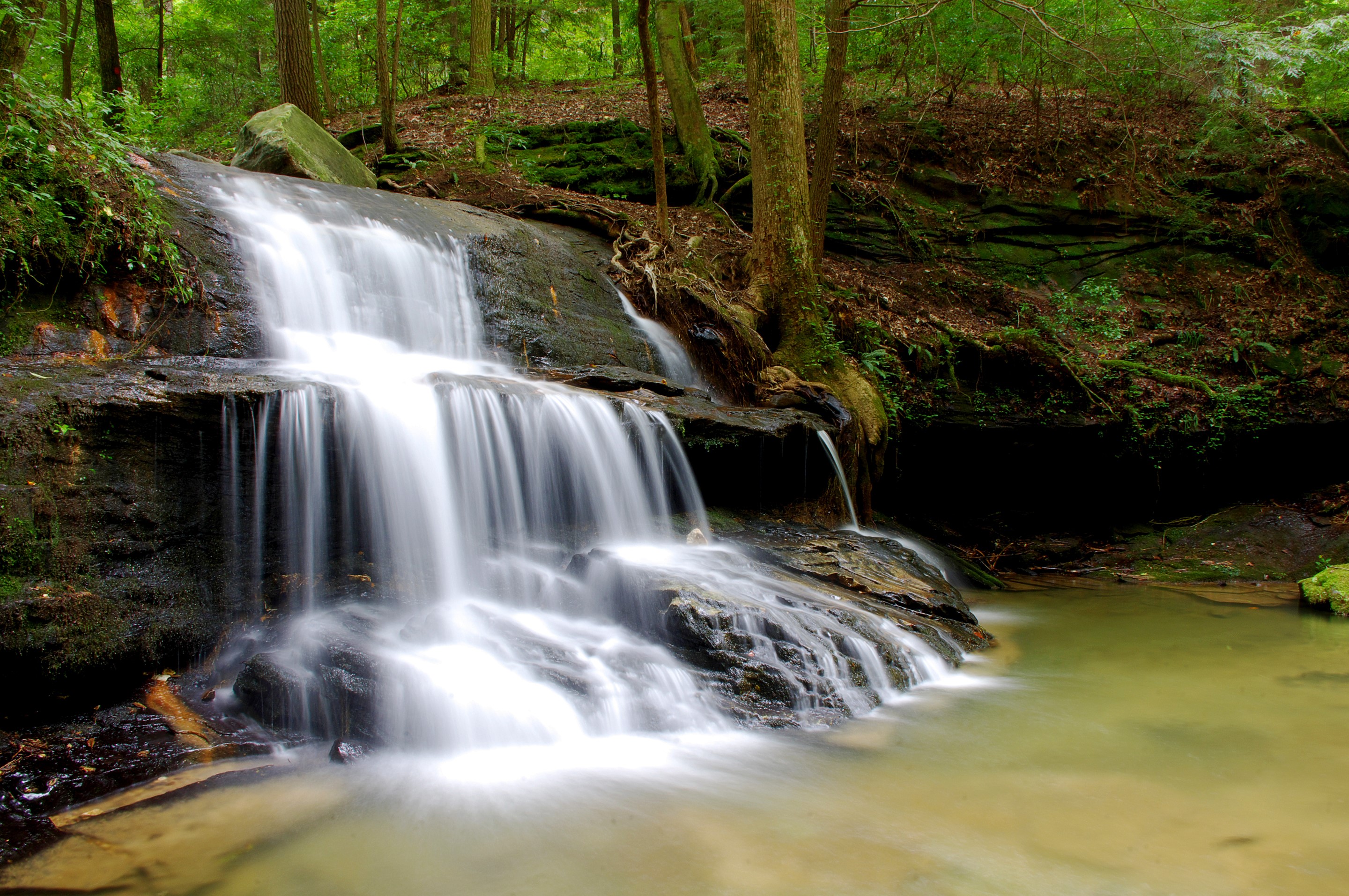Waterfall cascading through a forest HD Wallpaper