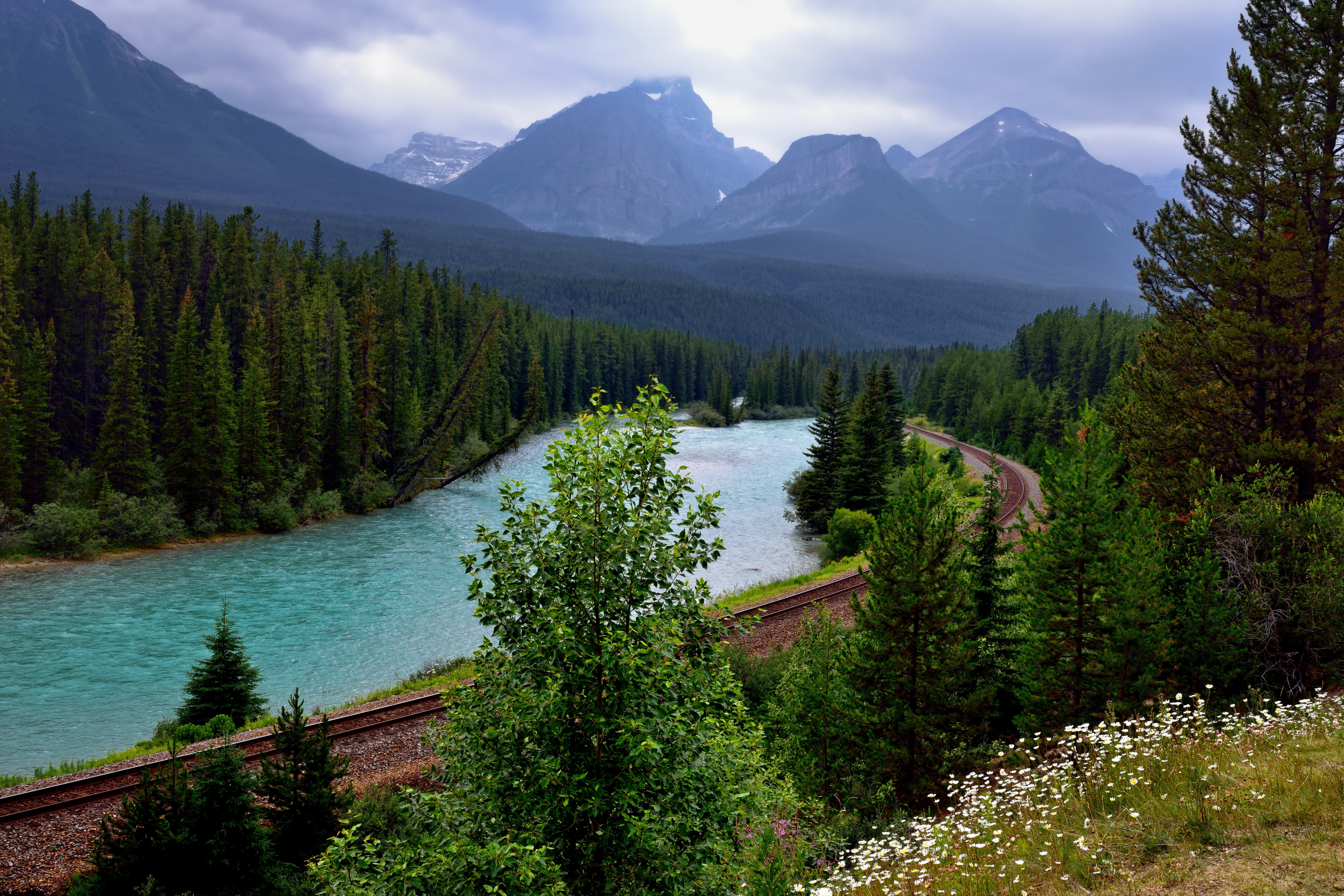 Bow River Banff National Park Canada Railroad Mountains Forest HD Wallpaper