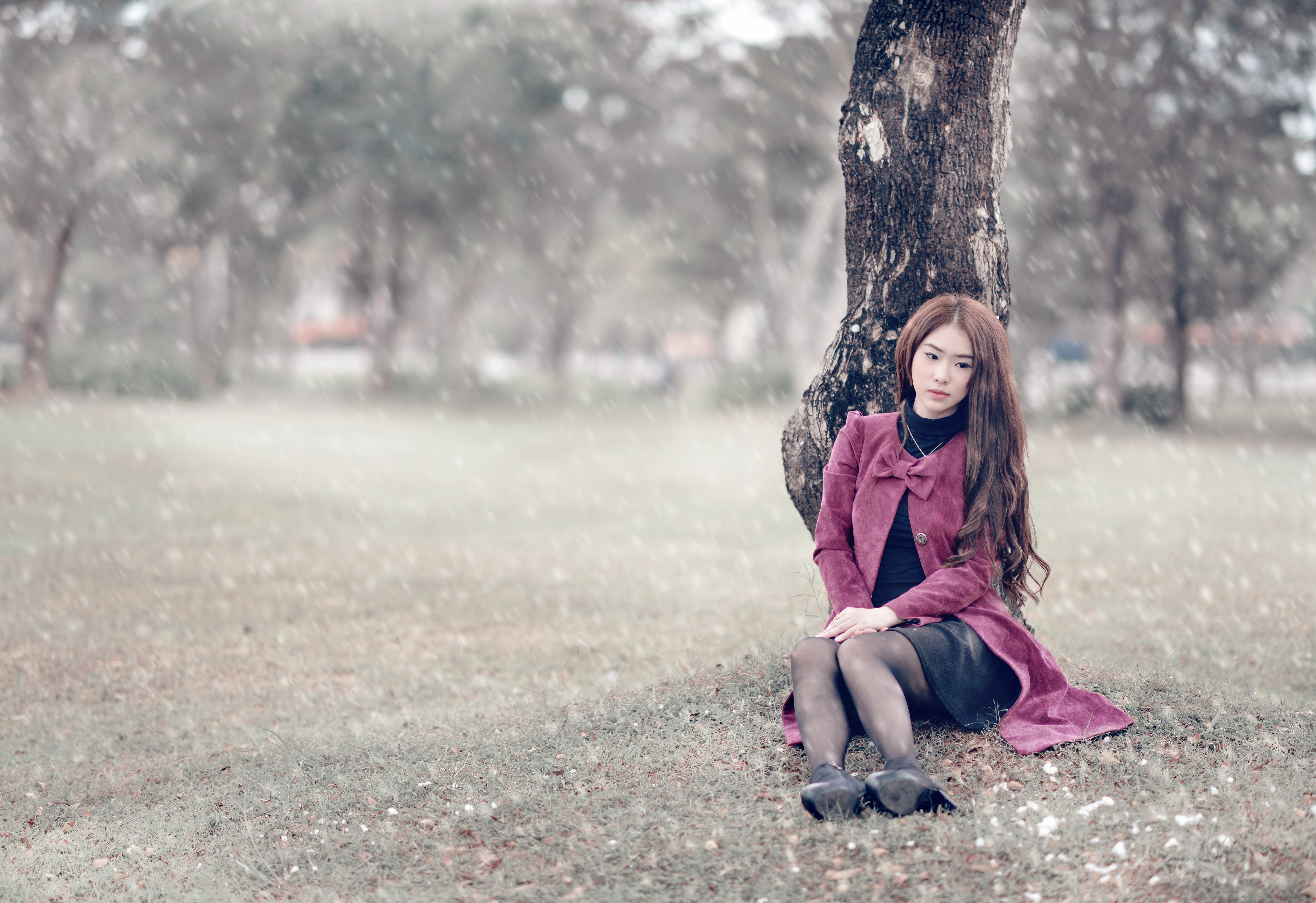 Asian woman sitting by a tree in a park HD Wallpaper