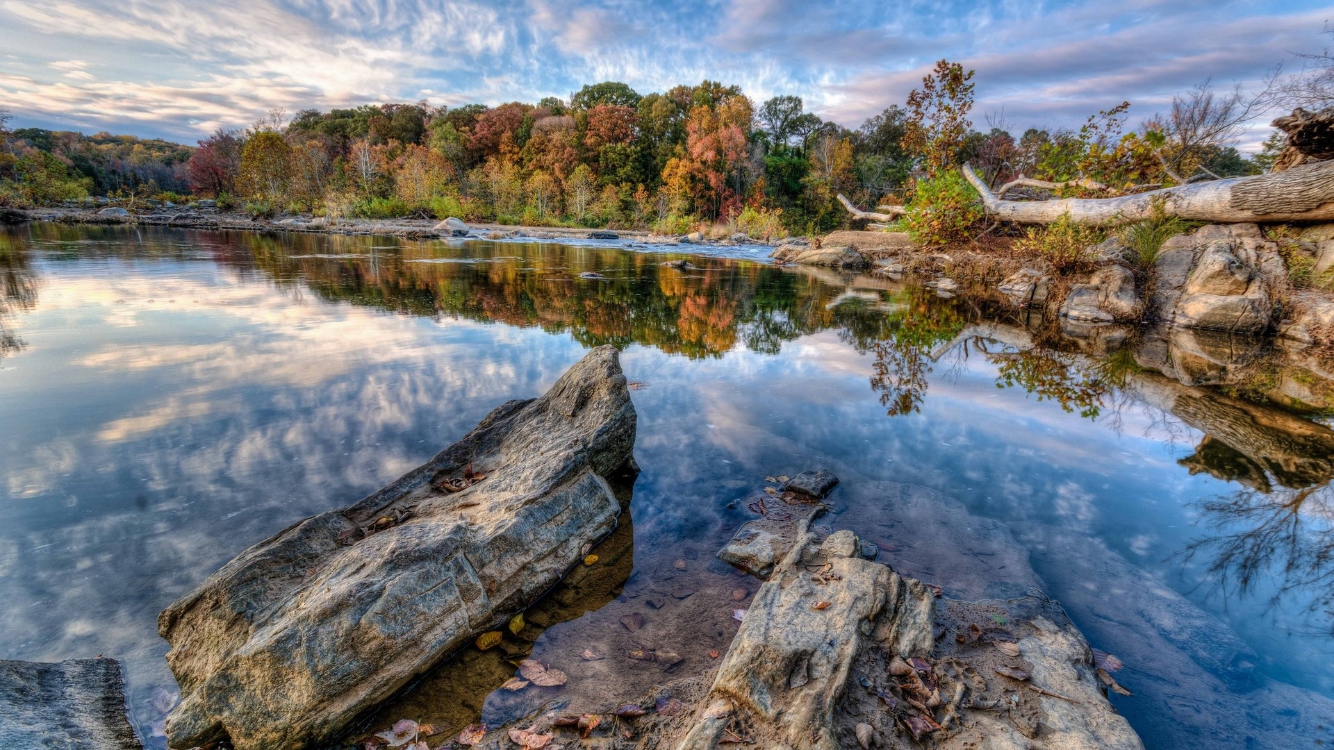 Autumn forest reflected in a calm river HD Wallpaper