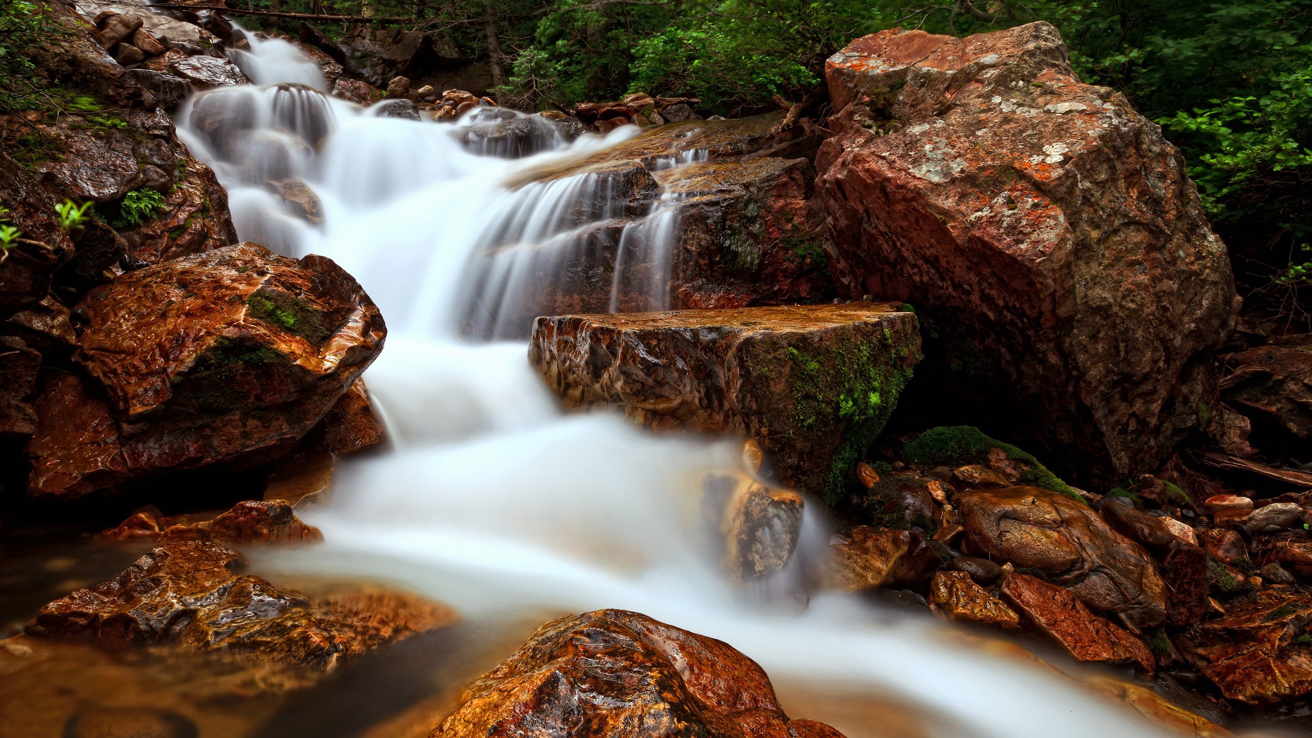 Waterfall cascading over rocks in a forest HD Wallpaper