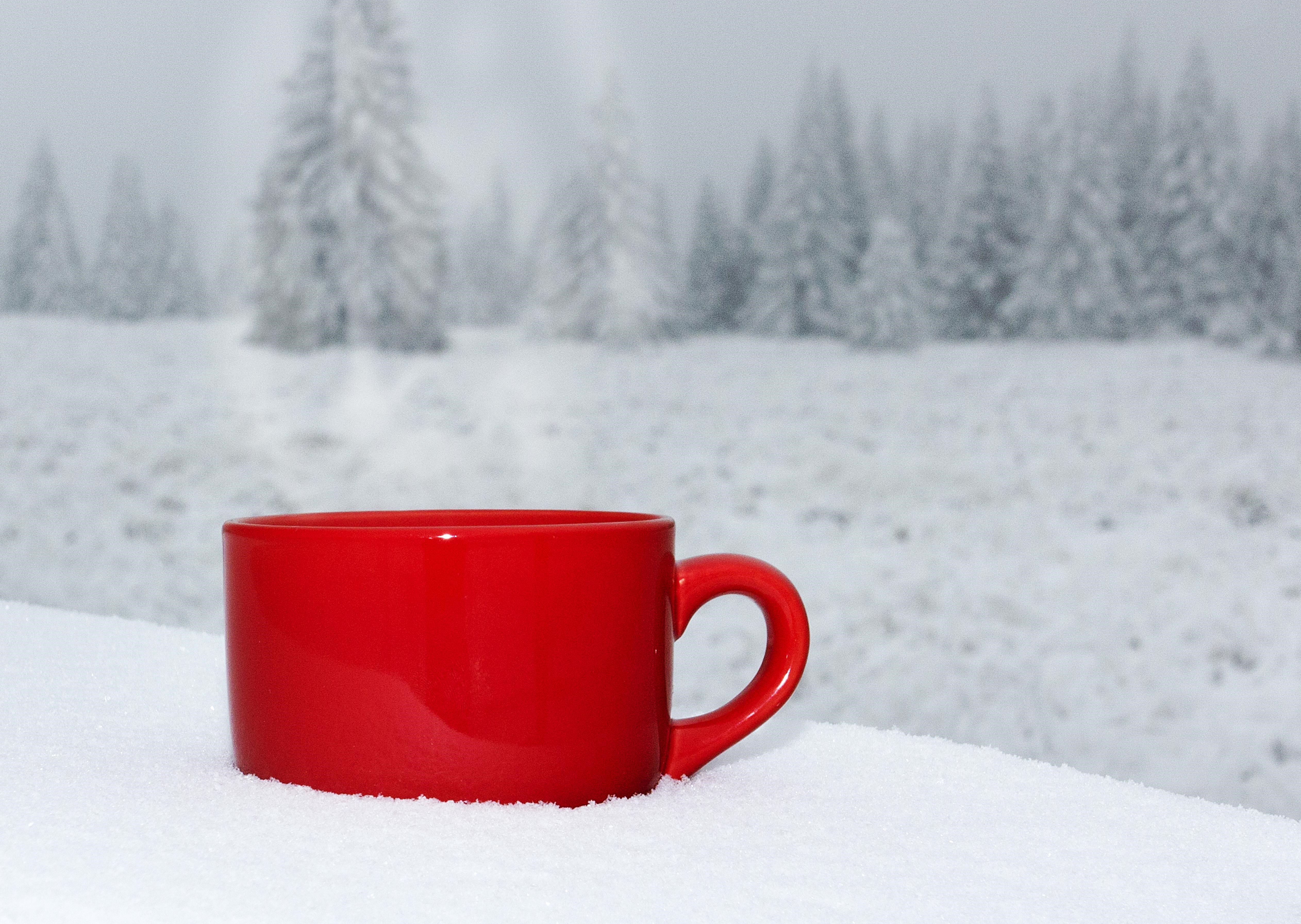 Red cup in snow with winter forest background HD Wallpaper