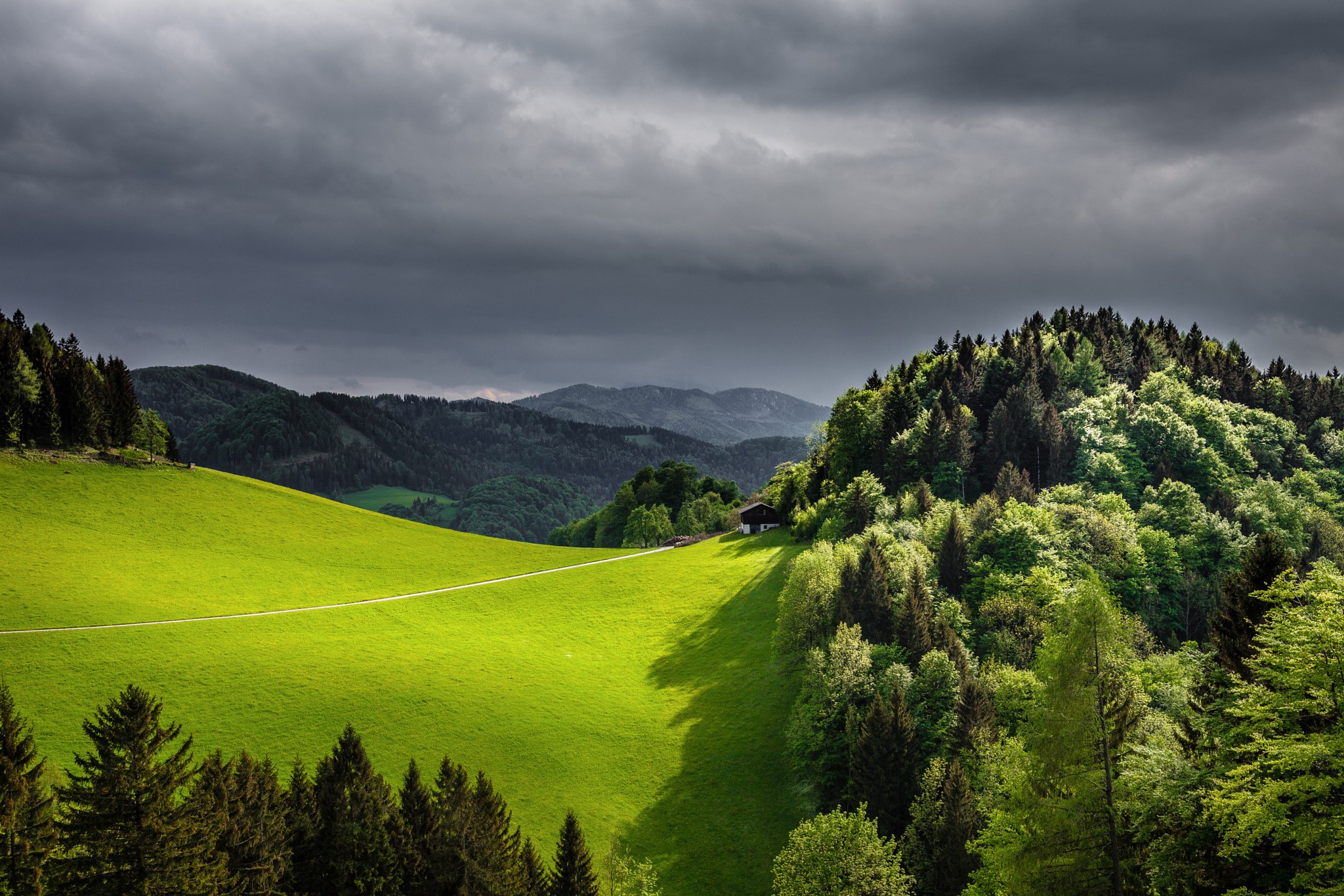 Rolling green hills and dense forests under a stormy sky HD Wallpaper