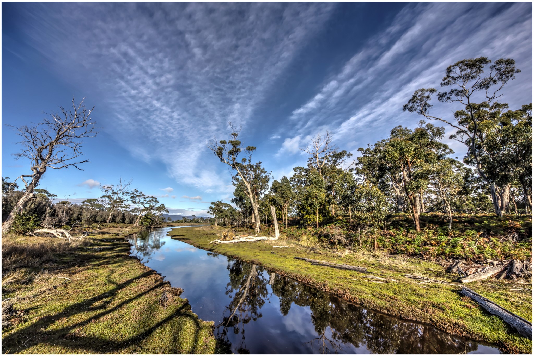 River flowing through trees under a cloudy sky HD Wallpaper