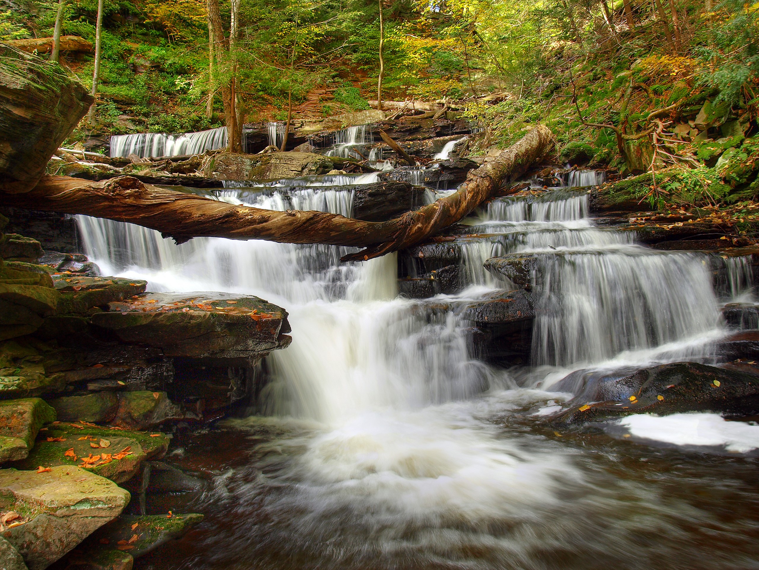 Waterfalls cascading over rocks in a forest HD Wallpaper