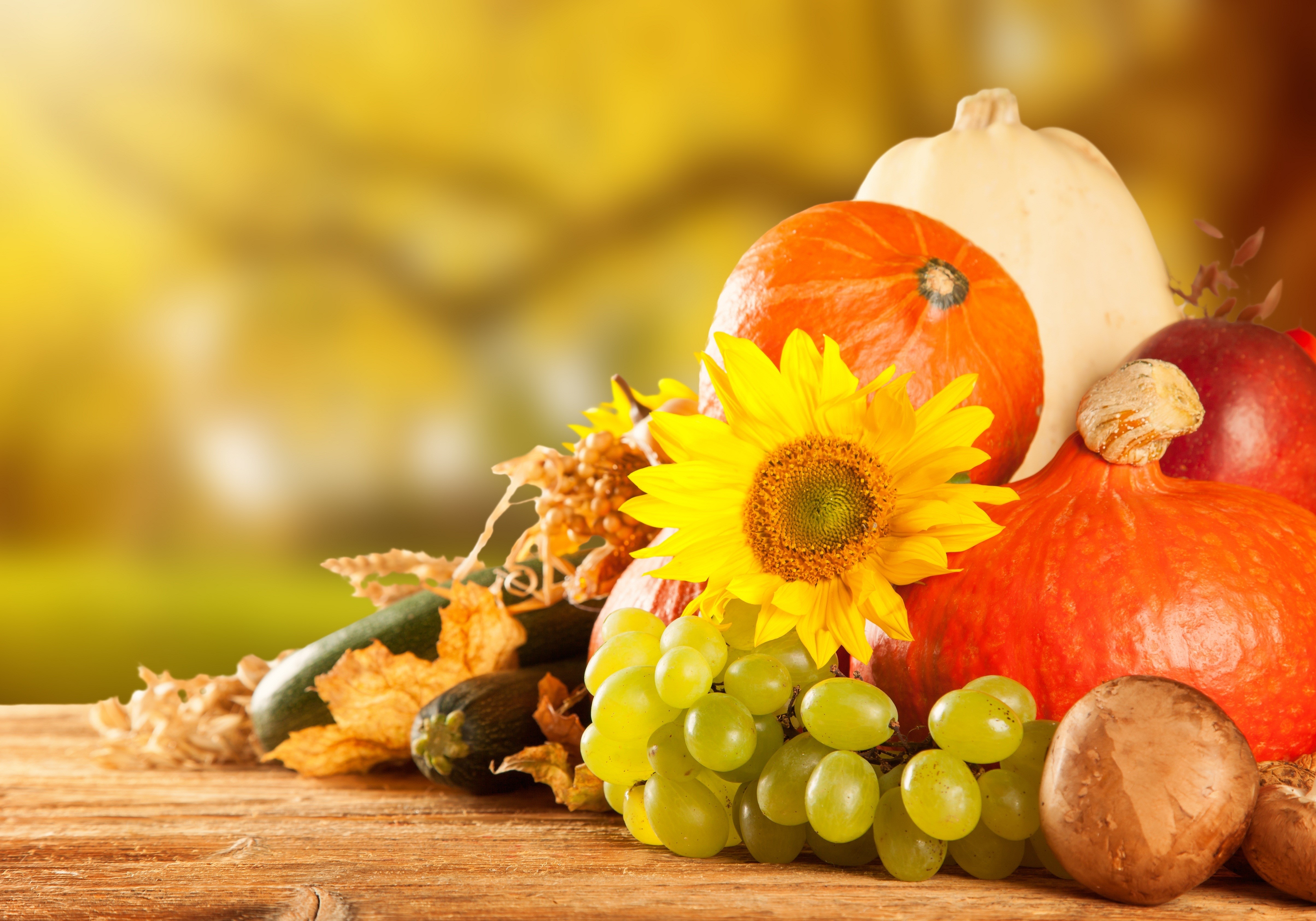Autumn Harvest: Pumpkins, Grapes, Sunflower, and Vegetables HD Wallpaper