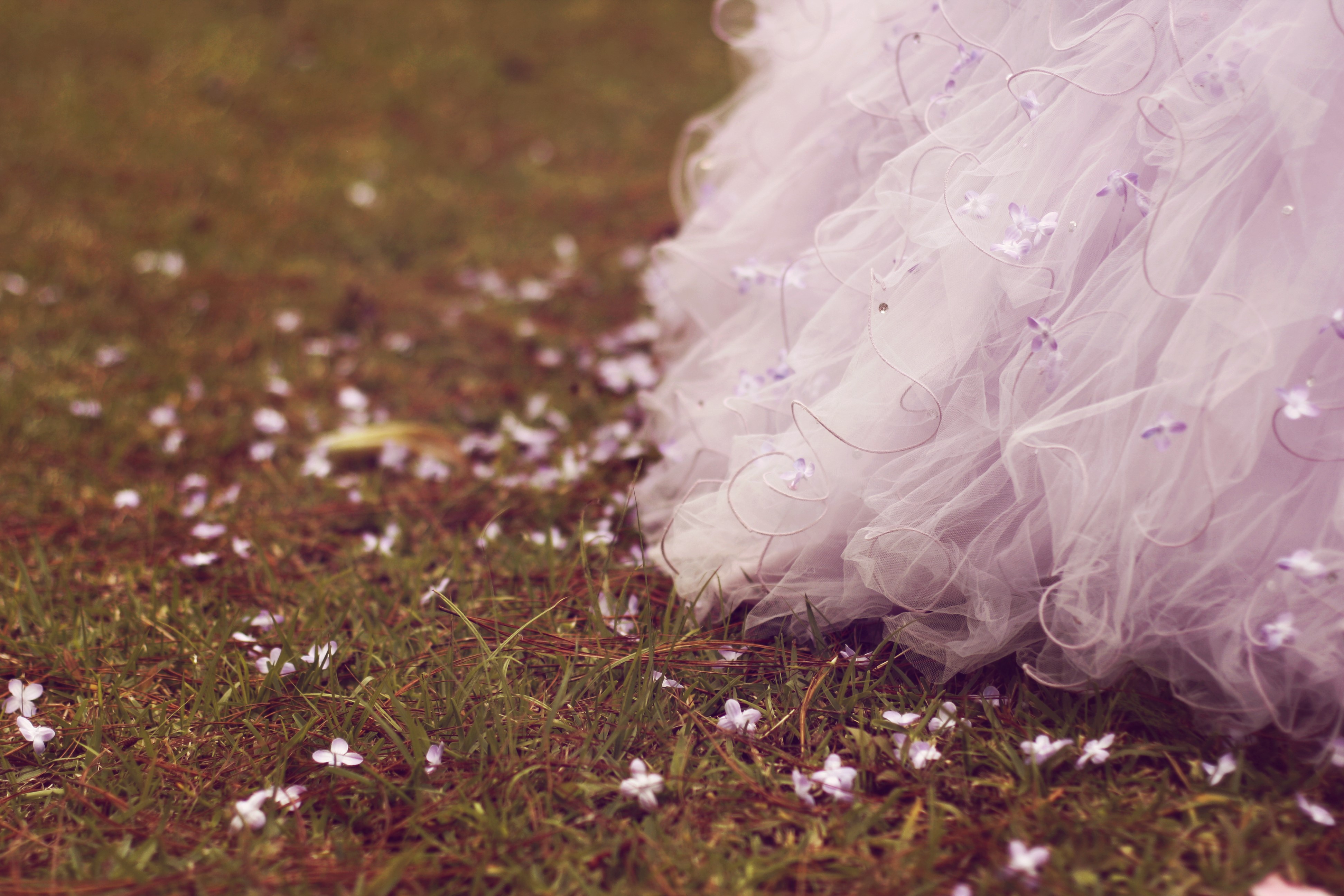 Purple Dress on Grass with Flowers HD Wallpaper