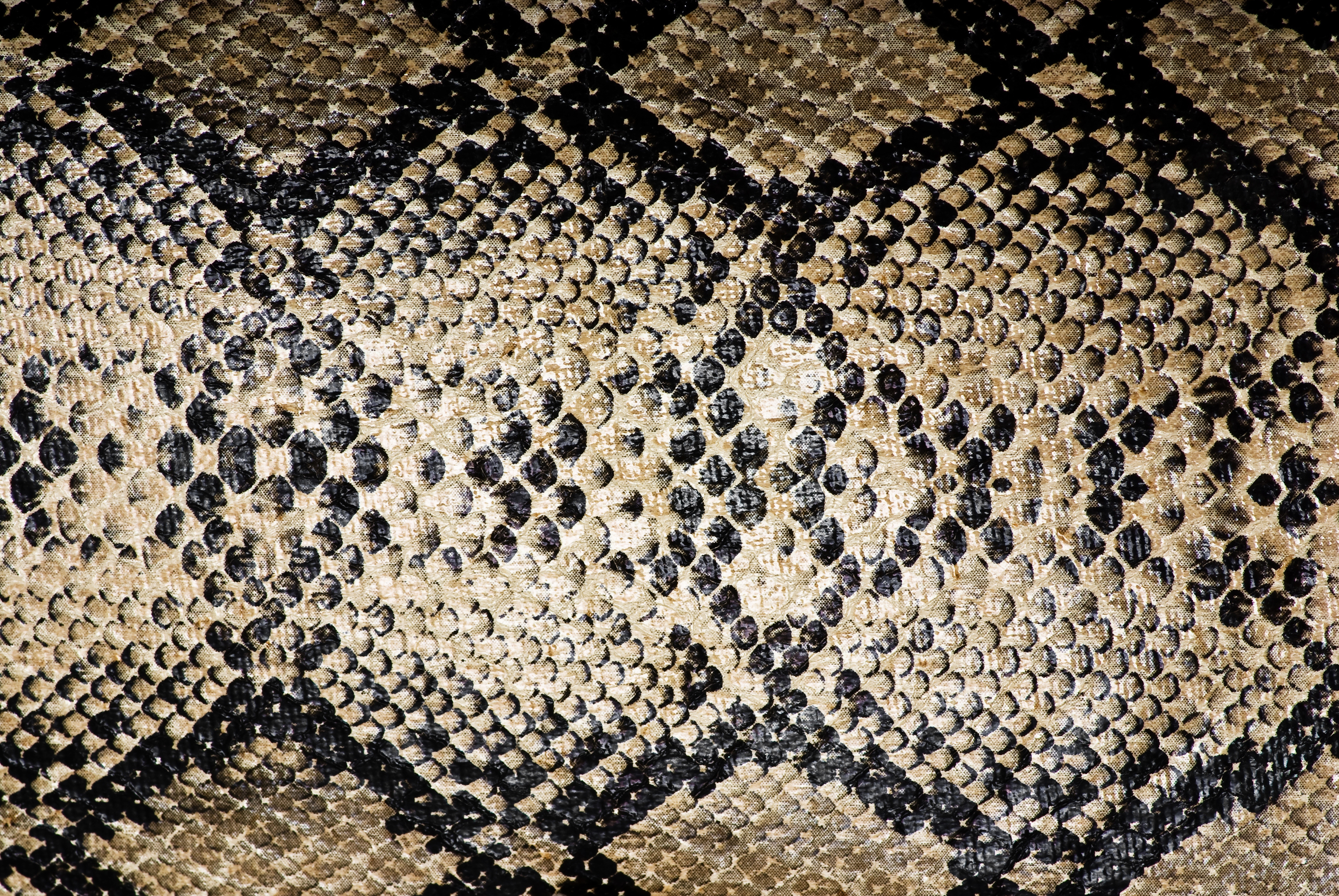 Close-up of snake skin texture HD Wallpaper