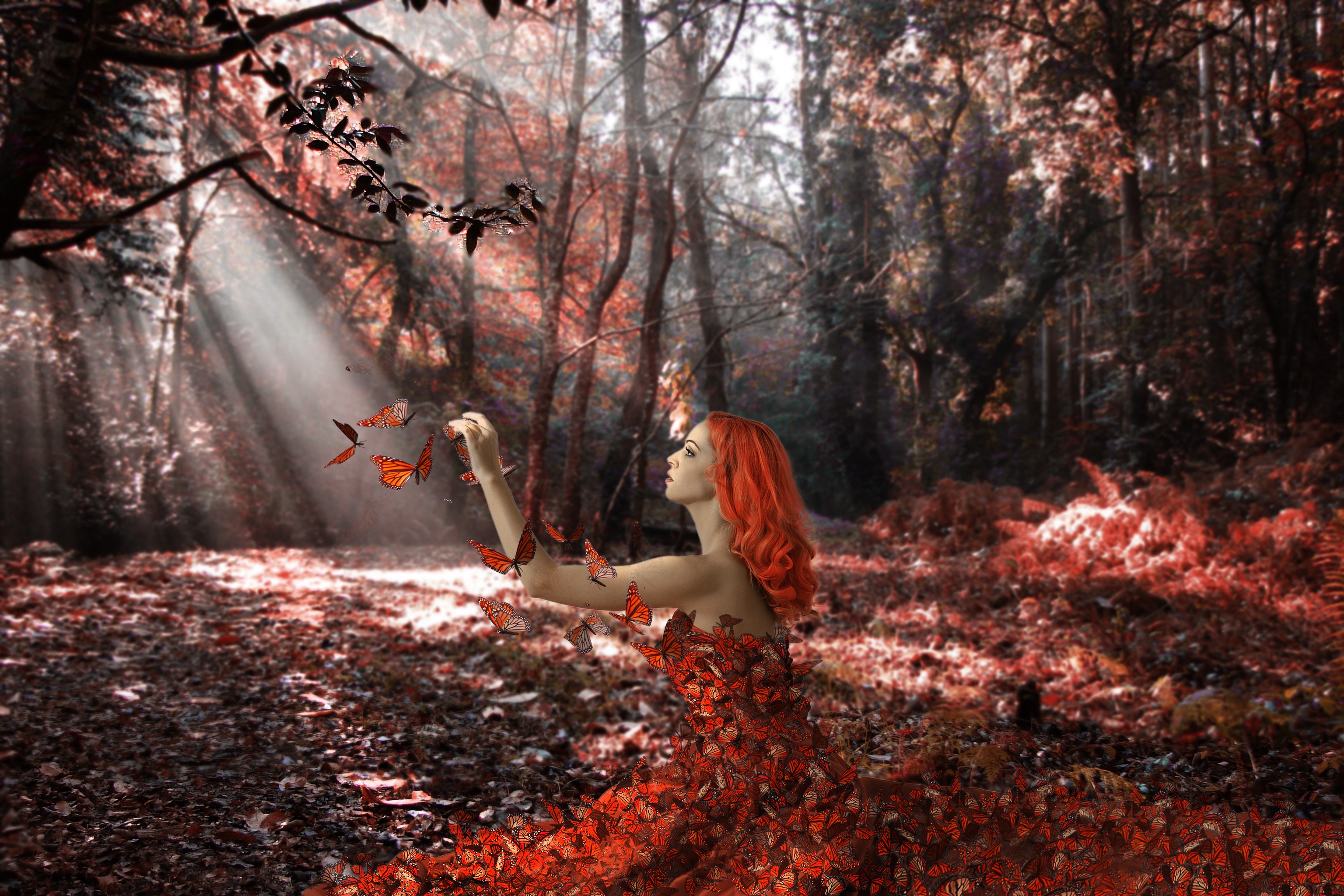 Redhead girl in forest with butterflies and light rays HD Wallpaper