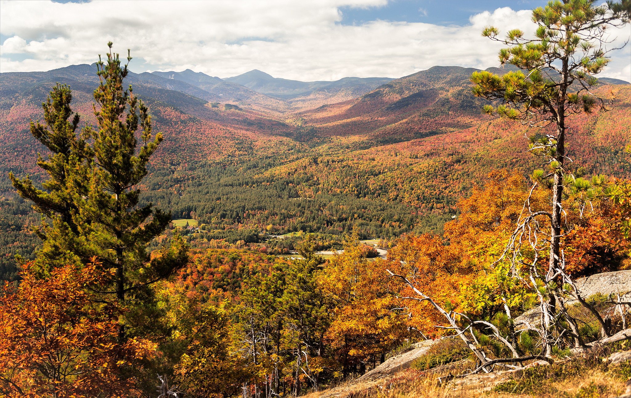 Autumn Mountain Valley with Pine Trees HD Wallpaper